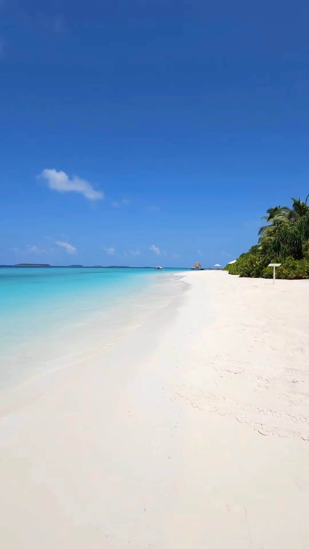 Maldivesのインスタグラム：「Maldives Islands   🎥 @vacationplaces_   #maldivesislands #maldives #beach #paradise #whitebeach #island #vacation #resort #beautifuldestinations #tropical #luxuryresort #peacefull #purebliss #islandgetaway #paradisefound」