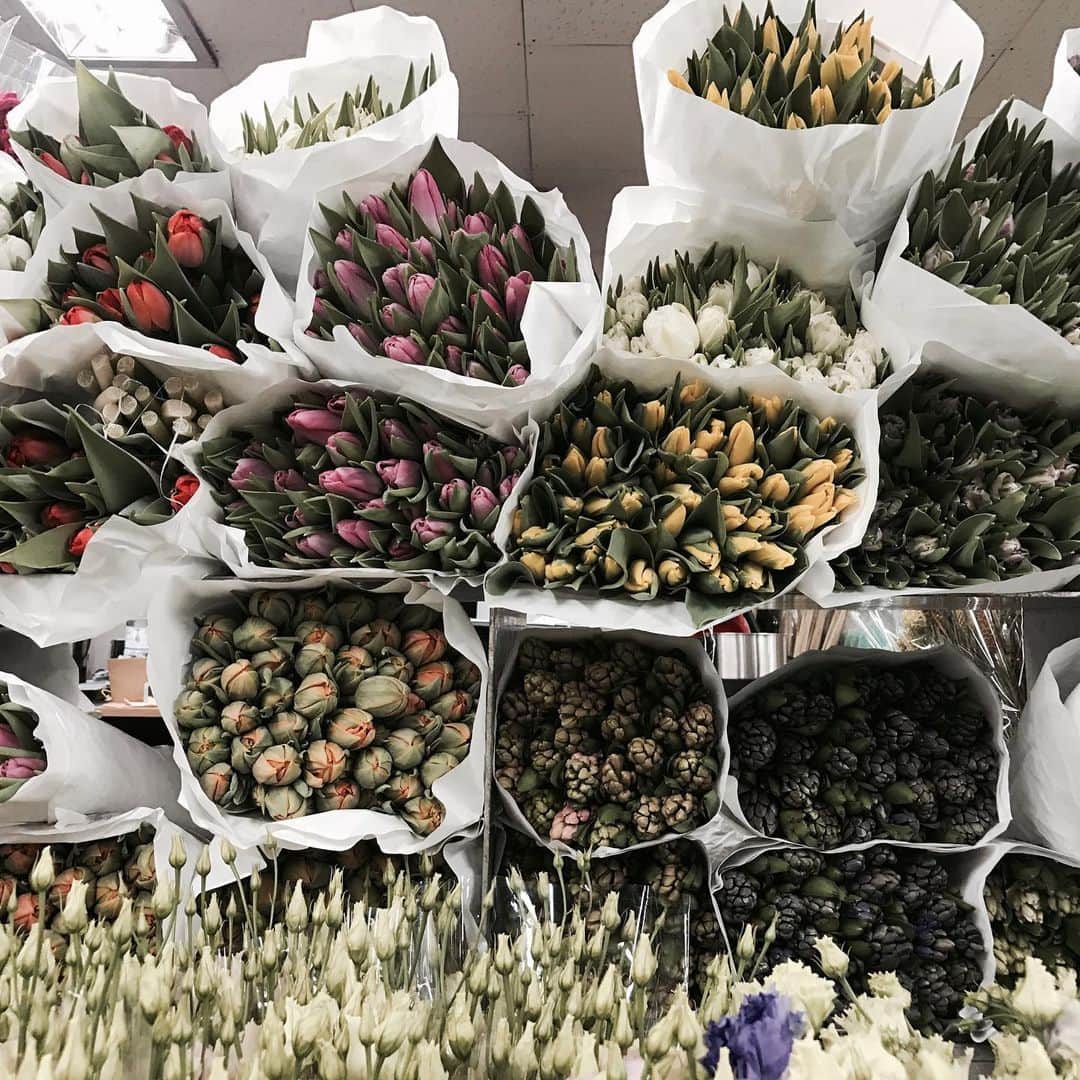 Florist.janeのインスタグラム：「#tulips 🌷」