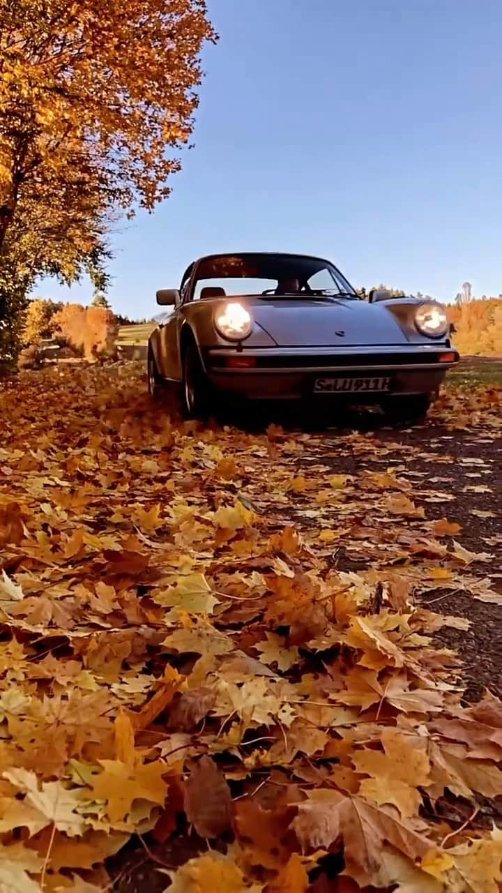 Porscheのインスタグラム：「Leaf-ing in a hurry.  🎥 @silverelfer #PorscheMoment」
