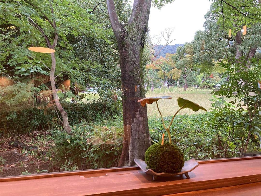 畑中葉子さんのインスタグラム写真 - (畑中葉子Instagram)「八坂神社・祇園・京都 一休庵・円山公園・祇園 団子三姉妹・一休庵・円山公園  #八坂神社  #円山公園  #一休庵  #団子三姉妹  #祇園  #カフェ  #スイーツ  #団子  #cafe  #sweet  #京都  #畑中葉子」10月9日 22時48分 - hatanaka_yoko