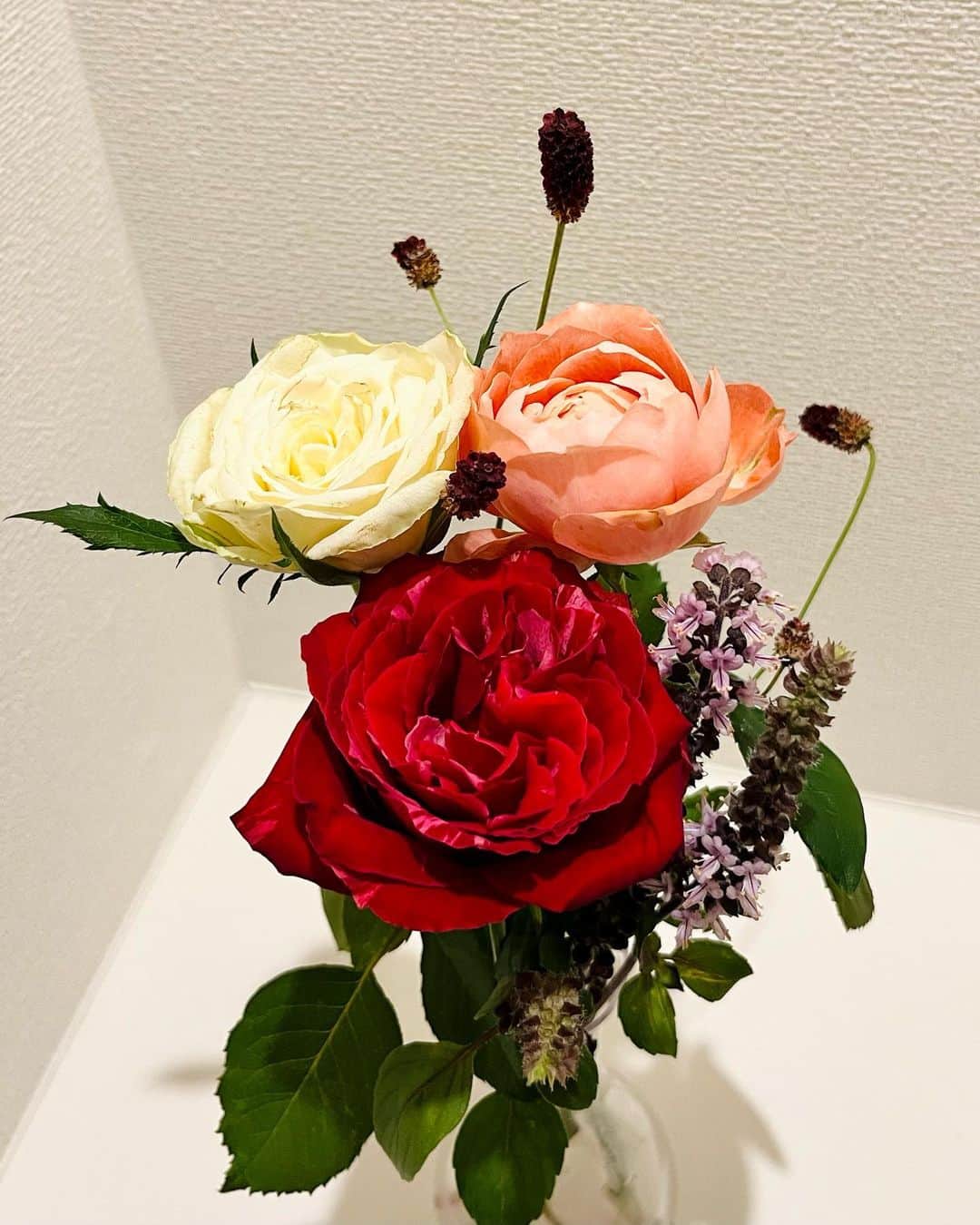 佐古真弓さんのインスタグラム写真 - (佐古真弓Instagram)「なんでもない日に頂いたお花。  嬉しい。  綺麗だなぁ。   #秋バラ   #バラ   #薔薇   #花束   #花束プレゼント」10月9日 22時53分 - _sacomayumi_