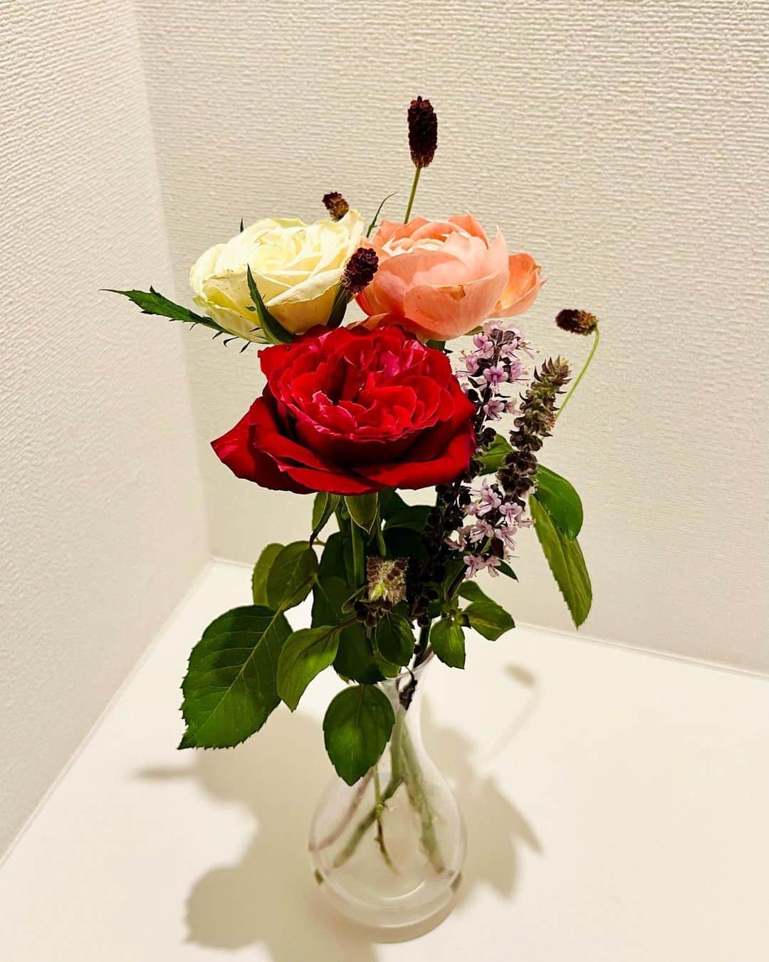 佐古真弓のインスタグラム：「なんでもない日に頂いたお花。  嬉しい。  綺麗だなぁ。   #秋バラ   #バラ   #薔薇   #花束   #花束プレゼント」
