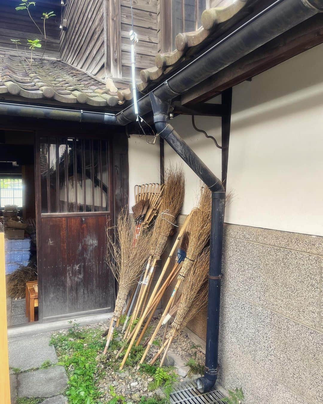 journaleatripさんのインスタグラム写真 - (journaleatripInstagram)「morioka  鉄は熱いうちに打て 　 錆さしてしまった南部鉄器の鉄瓶を片手に 再び岩手へ。 1日しか時間はなかったけれども 移動1人時間が私は何故か頭が整う🧹 事もあり素敵なお誘いに向かう  よき出逢いはご縁をうんで繋がり線となる。 有難う！  #ご当地洗礼は居酒屋 #吃驚角打ちは保護猫と」10月9日 23時33分 - eatripjournal