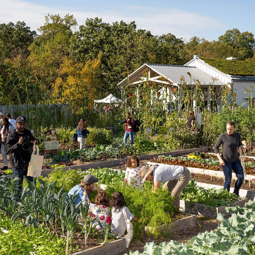 ニューヨーク植物園のインスタグラム：「Looking to close out the long holiday weekend the right way? We’re open today for the long weekend, so you can enjoy the afternoon outdoors!  Spend the day with us as Sensational Seeds Weekend continues, with hands-on gardening, crafts, and exploration for kids and families throughout the state-of-the-art Edible Academy campus. Then set off into the Garden to enjoy all the other exciting events and activities happening for Fall-O-Ween, from @adambierton’s live pumpkin carving in the Visitor Center to scarecrows and more in the Adventure Garden. Visit the link in our bio to plan your day at NYBG!  #SensationalSeeds #FallOWeen」