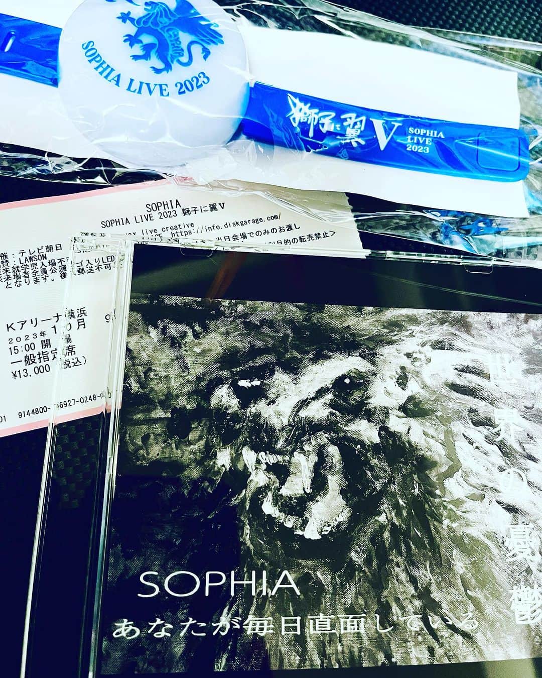 Shinnosukeのインスタグラム：「SOPHIA のライブ「獅子に翼 V」観覧してきました〜🦁🪽🌻 皆様カッコよかったし面白かった！ ここから更に！益々の爆進をお祈りいたします！  Kアリーナの内装エレガンスで素敵でした。ベルベットカーテンてのが大人。  #SOPHIA #獅子に翼V #kアリーナ横浜 #メッシュ」