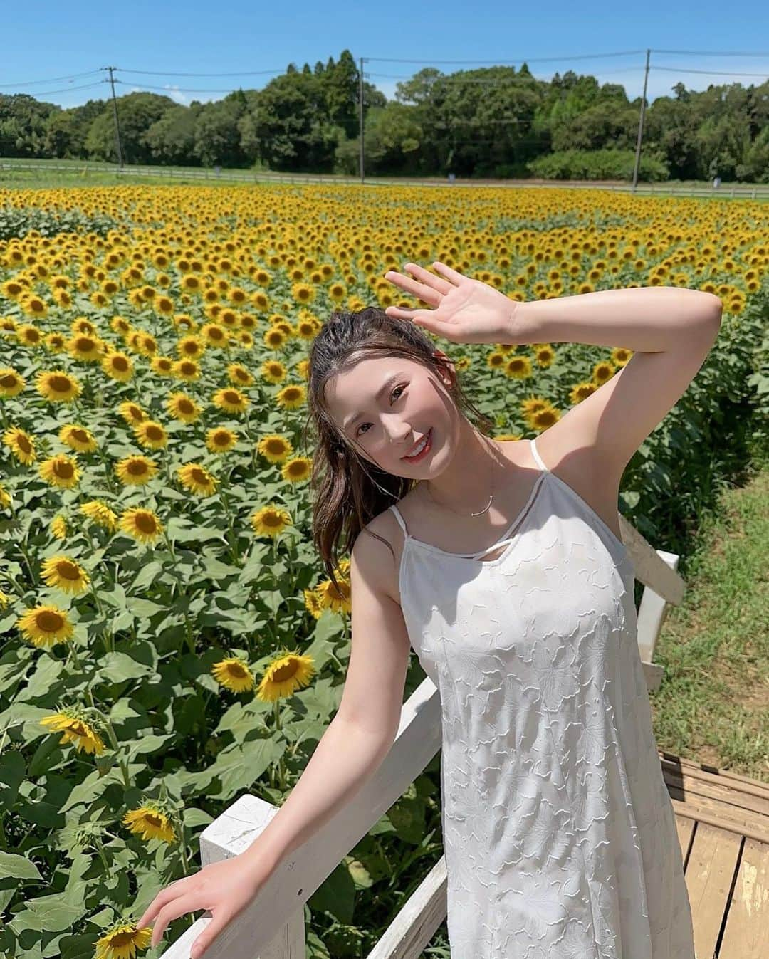 伊藤奈月さんのインスタグラム写真 - (伊藤奈月Instagram)「⁡ 太陽燦々のひまわり畑🌻 ⁡ 👗 ｜ @mercuryduo_com  ⁡ #ひまわり畑  #ひまわり #向日葵  #マザー牧場」10月9日 23時57分 - naachan__