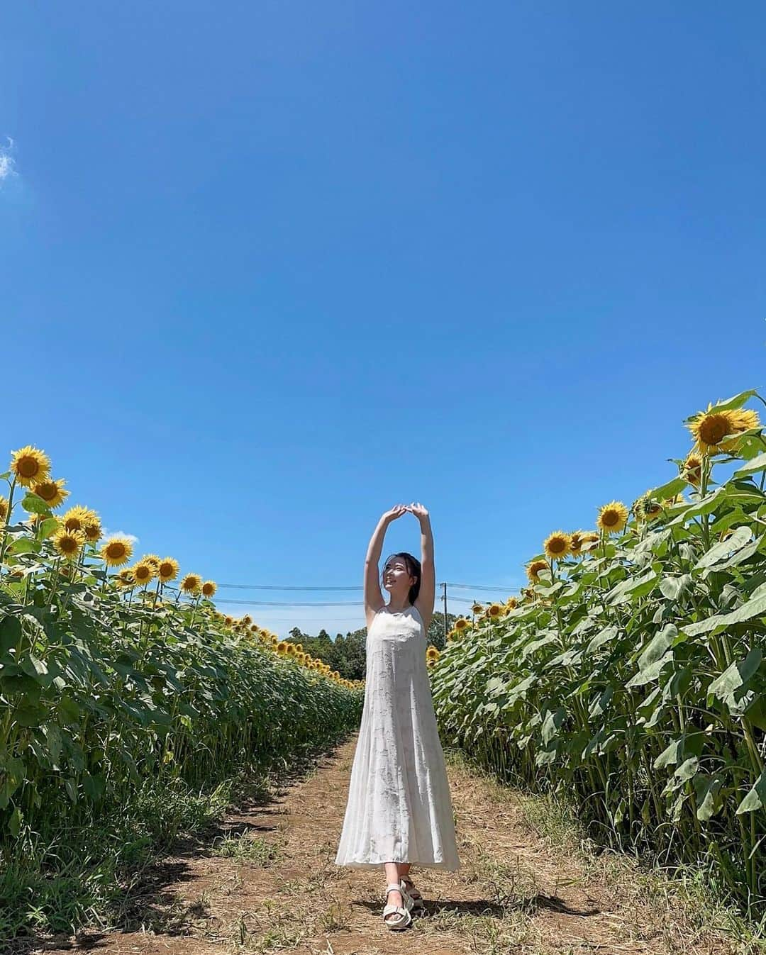 伊藤奈月さんのインスタグラム写真 - (伊藤奈月Instagram)「⁡ 太陽燦々のひまわり畑🌻 ⁡ 👗 ｜ @mercuryduo_com  ⁡ #ひまわり畑  #ひまわり #向日葵  #マザー牧場」10月9日 23時57分 - naachan__