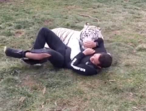 Black Jaguar-White Tiger のインスタグラム：「LOVE IS LOVE IS LOVE…」