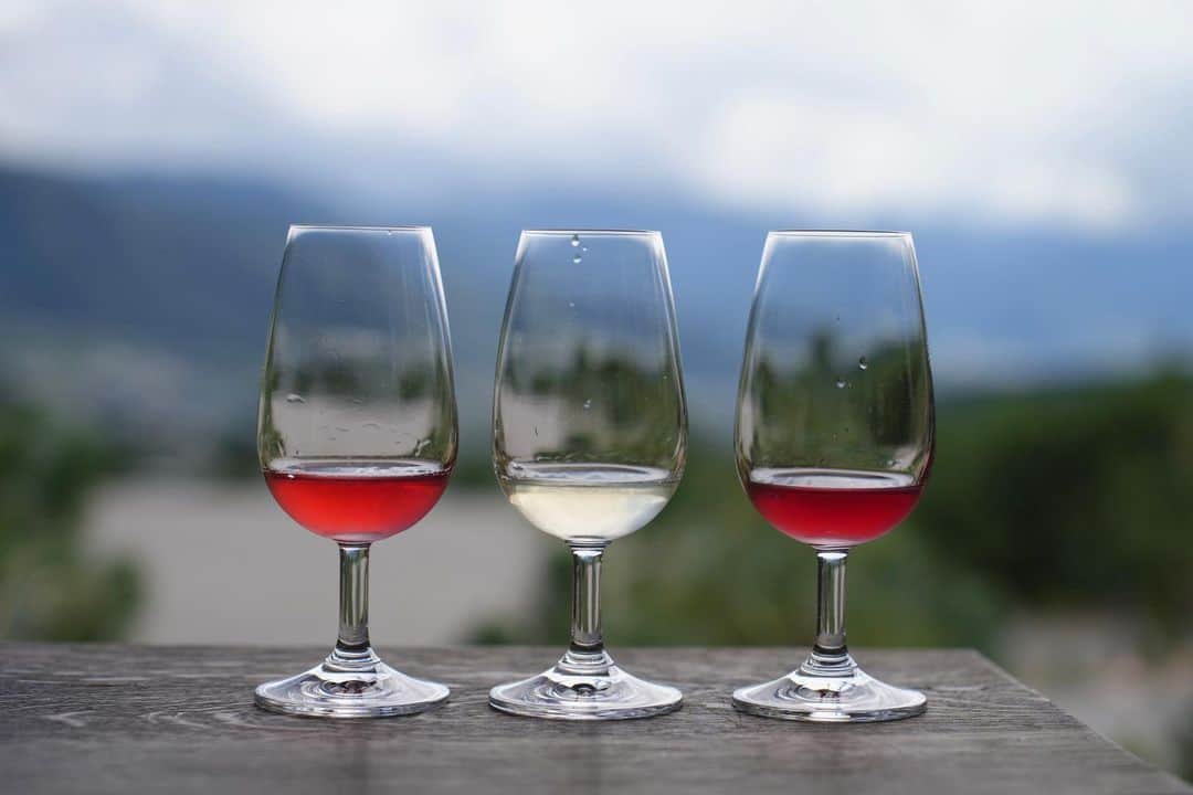 渡辺由布子さんのインスタグラム写真 - (渡辺由布子Instagram)「🍷🍇🌵  山梨県甲州市・塩山の山奥に佇むワイナリー @98wines へ。 恵林寺から車で10分。ずっと気になっていたワイナリーの一つ。  メルシャンや勝沼醸造で40年近くにわたって醸造責任者を務めてきたオーナーの平山さんが2017年に立ち上げたそう。  彼のお人柄とセンスが光る、和モダンな木造家屋に、カリフォルニアやフランスのワイナリーを思わせる、360°大自然の開放的なダイニング。晴れた日には遠くに富士山を望める絶景🗻  甲州ブドウを使ったワインが中心で「芒(Nogi)」や「霜(Sou)」といったおしゃれなネーミングとエチケットもまた良き🫶  今年から宿泊を兼ねたオーベルジュも開業したとのことなので、次回はじっくりゆっくり訪問したいところ。  #98wines #山梨ワイナリー #ワイナリー巡り #ワインツーリズム #ワインテイスティング #ワイン好きな人と繋がりたい #ワインエキスパートへの道 #週末旅行 #富士山 #甲州ワイン #山梨旅行 #vineyard #winery #winelover #koshu #mba #japantrip #MtFuji #weekendgetaway   🏷️ 98WINES 📍 @98wines  🗾 #Enzan (#塩山 ) #YAMANASHI (#山梨 ) 🌏 #🇯🇵 #JAPAN (#日本 )」10月10日 0時25分 - watanabe_yuko