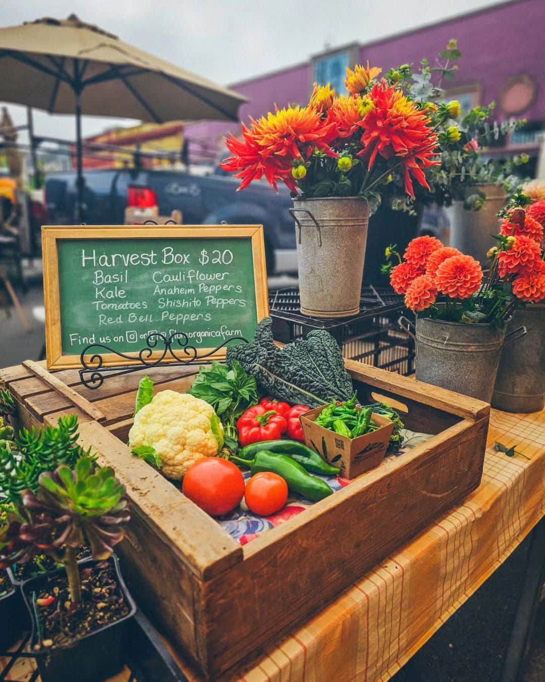 Monika Waleckaのインスタグラム：「Dziś zabieram Was na farmers market w Arkacie - stolicy hrabstwa Humboldt, do którego hipisi z San Francisco przenosili siebie, swoje rodziny i swoje rośliny.  Mglisto wilgotny klimat północy warunkuje nieco inna wegetację niż w San Francisco. Nie ma tzw pestkowców (stonefruits) za to truskawki, kwiaty, jarmuż i wszystko  co zobaczycie na zdjęciach.   To czego nie zobaczycie to niesamowity klimat targu,  hipisowski zespół na środku plaży, stoiska z kamieniami, kryształami, wszechobecnego zapachu trawki (Humboldt to amerykańska stolica marihuany i jest to widoczne na każdym kroku).   Wyszłam z paczka truskawek, torba rukoli, która jadłam jak chipsy i pomidorkami, które eksplodowały w ustach od nadmiaru słodyczy i soku. Błonnik, którego po intensywnych chlebowych przygodach bardzo, ale to bardzo potrzebowałam :)」