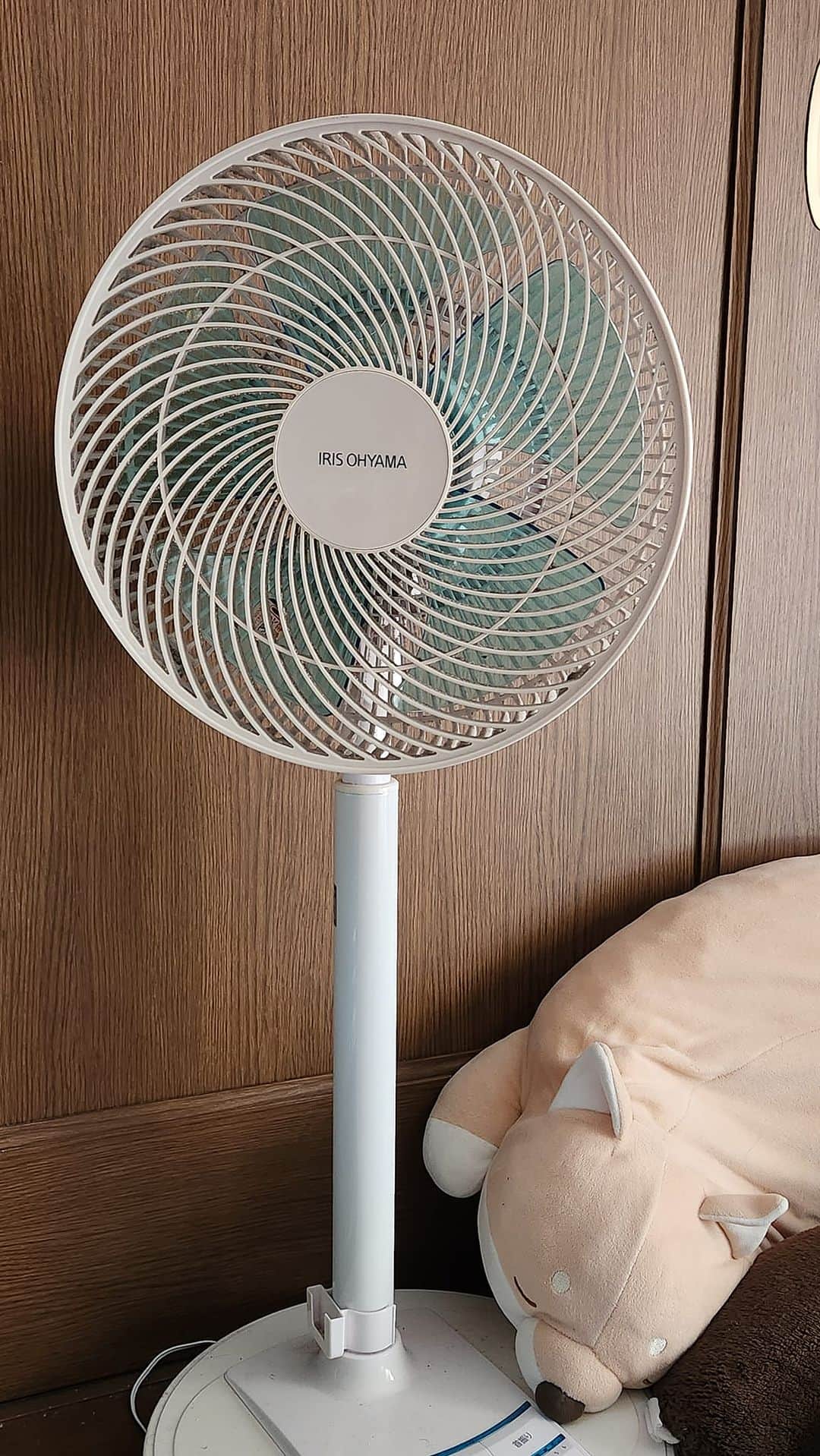桂七福のインスタグラム：「暑い…。 蒸し暑い…。 扇風機の片付けは、まだ先だ。 徳島市川内町。 (桂七福)」