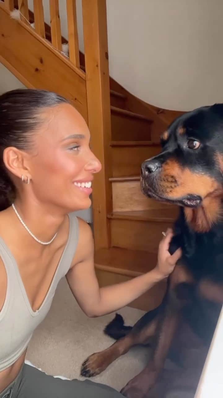 DogsOf Instagramのインスタグラム：「What a fun party trick @nala_the_needy_rottie 🤣 Has your dog ever done this?  Follow @nala_the_needy_rottie for more fun! . . . . #rottweiler #funnydogvideos #dogmom #dogsofinstagram #rottiegram #funnydoggo #partytrick #dogobsessed」
