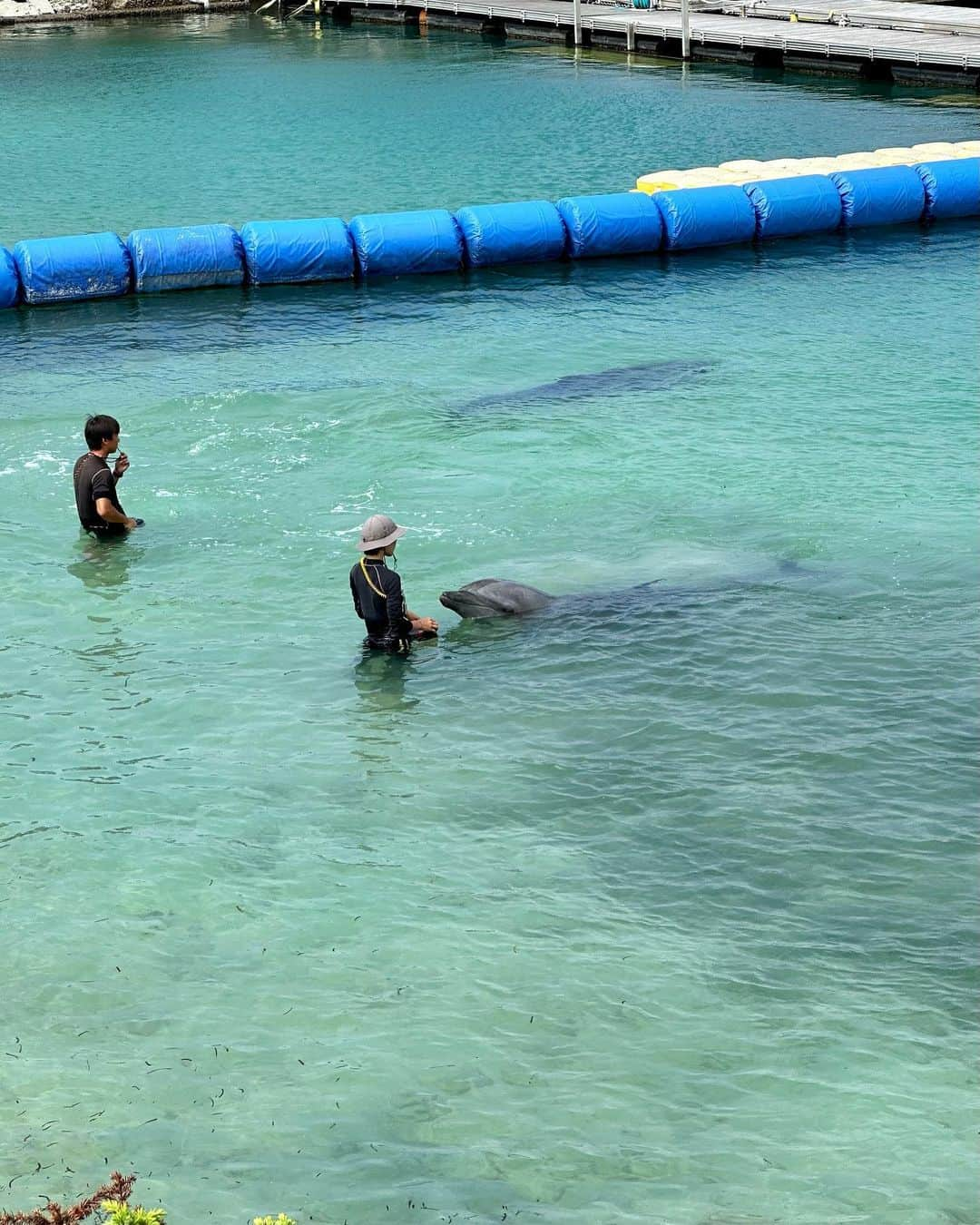 加藤瑠美さんのインスタグラム写真 - (加藤瑠美Instagram)「🐬🏖️🐠🦭🫧  先日、息子と娘のバースデー旅行へ✈️ 去年も訪れた沖縄にしました✨ 今回は子どもたちが楽しめることを一番に考えて @renaissanceokinawaresort に宿泊しました🏨  ホテルの敷地内から出ないぞ！と決めて、毎日たくさんのアクティビティを申し込んでハードスケジュールに🤣 イルカのプログラムが満員で参加できなかったのが残念だったけど、エイやウミガメにごはんをあげたり、ワラビーと触れ合ったり、船に乗ったり、毎日たくさんの楽しい体験ができました❣️  お部屋もデラックスフリッパーズコネクティングルームという子どもたちが喜びそうなお部屋に🐬 お風呂にもイルカさんがいて、毎日楽しそうに長風呂してました🤣ああかわいい🤍 内ドアでお隣の落ち着いたお部屋にも行き来できて、大人にとっても快適なお部屋でした🛋️ 夫よ、いつも何から何までありがとう🦘✨  #rubi_travel#子連れお出かけ#年子兄妹#年子ママ#東京ママ#沖縄旅行#子連れ沖縄#ルネッサンスリゾートオキナワ」10月10日 11時14分 - katorubi