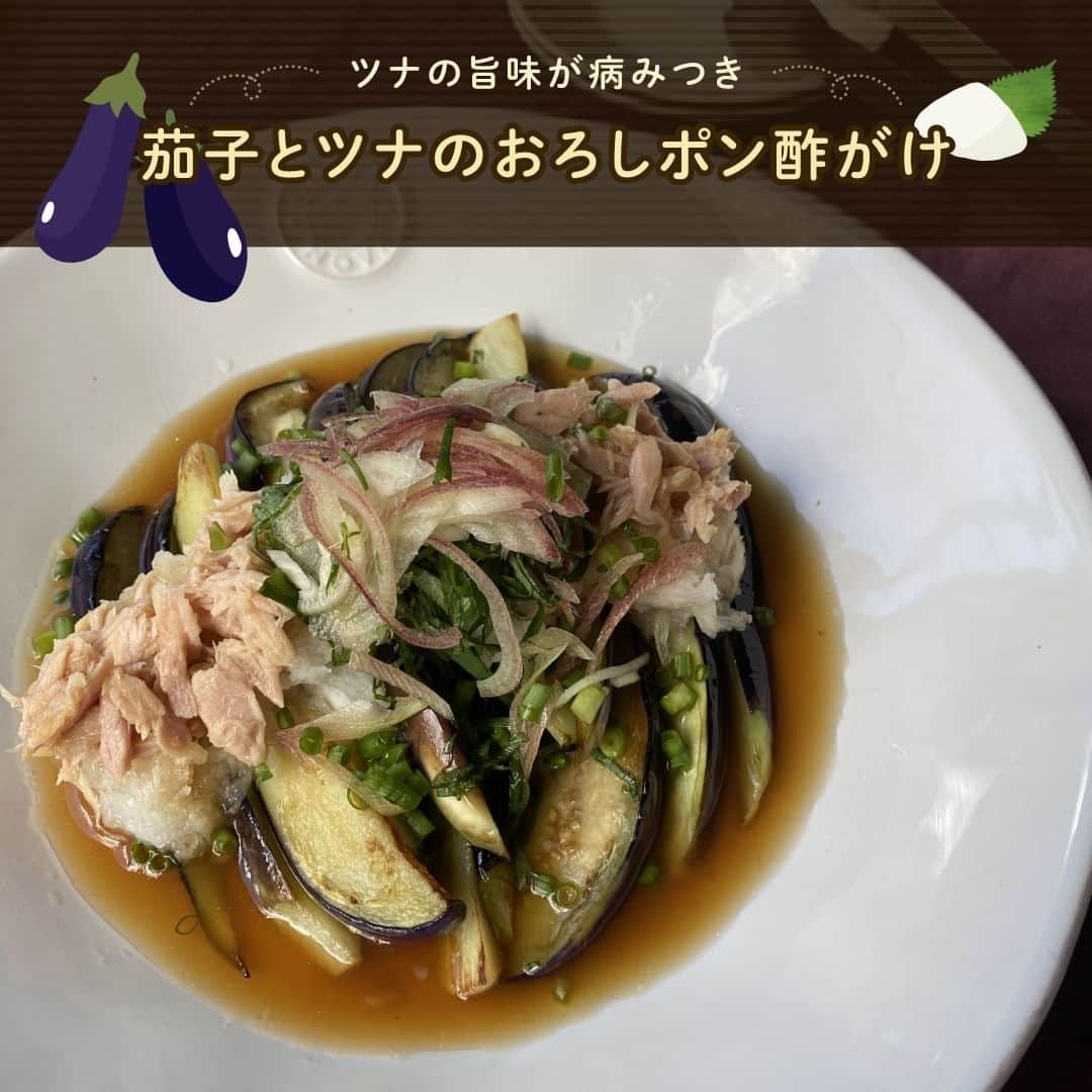 株式会社ノーリツのインスタグラム：「【ツナの旨味が病みつき 茄子とツナのおろしポン酢がけ】​  ​【一言コメント】​ ノーリツ毎日グリル部オフィシャルメンバー @bonheurpan さんからの旬の食材を使ったレシピや簡単おいしいレシピの紹介です！​ ぜひチャレンジしてみてくださいね♪​ .​ 揚げ焼きにした茄子にツナと大根おろしをたっぷりかけて。冷やして食べても美味しいです。​ .​ 作ってみたい方は「🍆」をコメントに送ってください😊​  ＜材料（2人分）＞​ ◼️茄子…2～3本​ ◼️ライトツナまぐろ油漬…1缶​ ◼️大根…3～4㎝​ ◼️みょうが…1ケ​ ◼️大葉…4～5枚​ ◼️青ねぎ…2本​ ◼️油…適量​ ◼️ポン酢…大さじ2程度​  ＜作り方＞​ ①なすはヘタを取り、縦に8等分にする。大根はすりおろし、みょうがと大葉は千切り、青ネギは小口切りにする。​ ②フライパンを中火にかけ、多めの油を入れて温める。茄子を並べ、表面に薄く焼き色が付くまで揚げ焼きにする。​ ③器に②を並べる。その上に大根おろし、油を切ったツナ、みょうがと大葉、青ネギを乗せる。​ ④上からポン酢をかけて完成。​  #マルチグリル#ノーリツ#毎日グリル部#おうちごはん#旬の食材#レシピ#手料理#料理#時短レシピ#時短ごはん#お弁当おかず#お弁当レシピ#つくりおきおかず#つくりおきレシピ#つくりおき#家飲み#家ご飯#手作り料理#簡単レシピ#家族ごはん#お手軽料理 @noritz_jp @noritzdays」