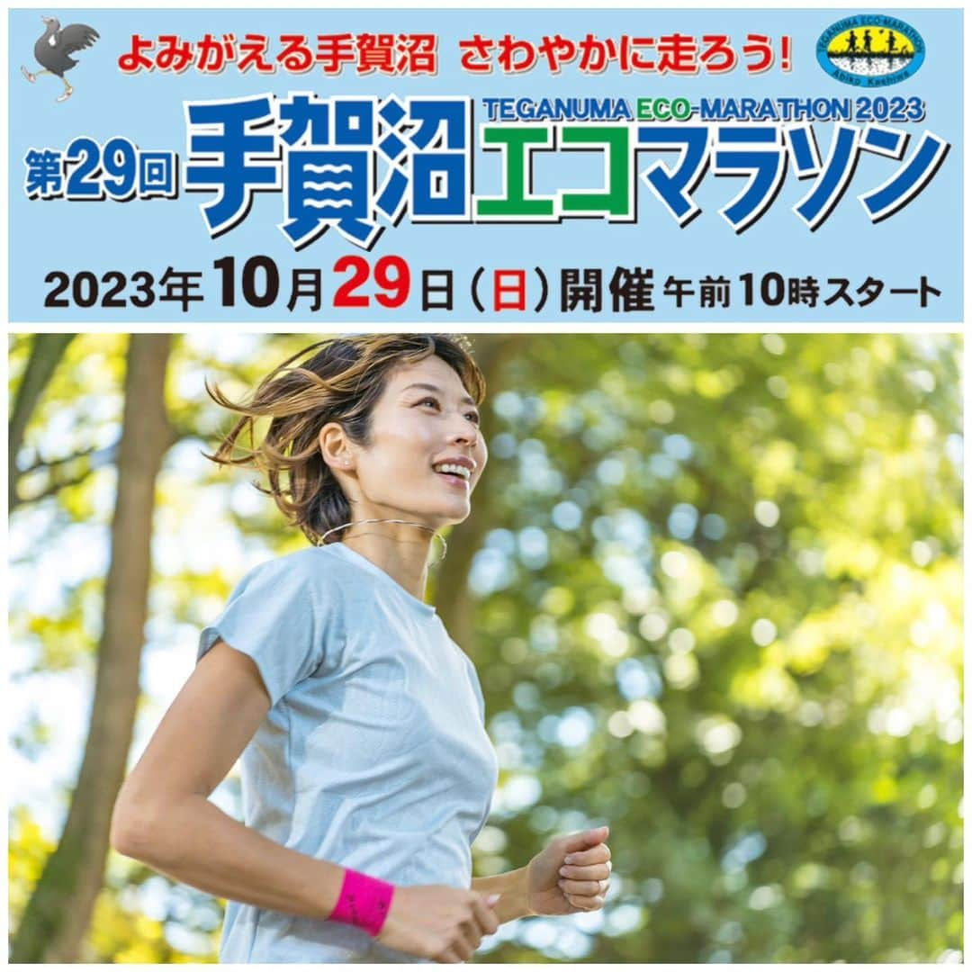 西谷綾子のインスタグラム：「🏃‍♀️ うれしい嬉しいお知らせ💃  10/29(日)開催の #手賀沼エコマラソン  ゲストランナーとして走ります🥰💛  エントリーしている皆さん 一緒に頑張りましょうー🤝💕  そして嬉しいことに！ 中央学院大学の選手の皆さんが 6人1グループを作り、 ⑤グループに分かれてペースメーカーをし 熱く皆さんをサポートしてくださるそうです🥹 心強いね！！🤝❤️‍🔥  詳細はHPをご覧ください☺️」