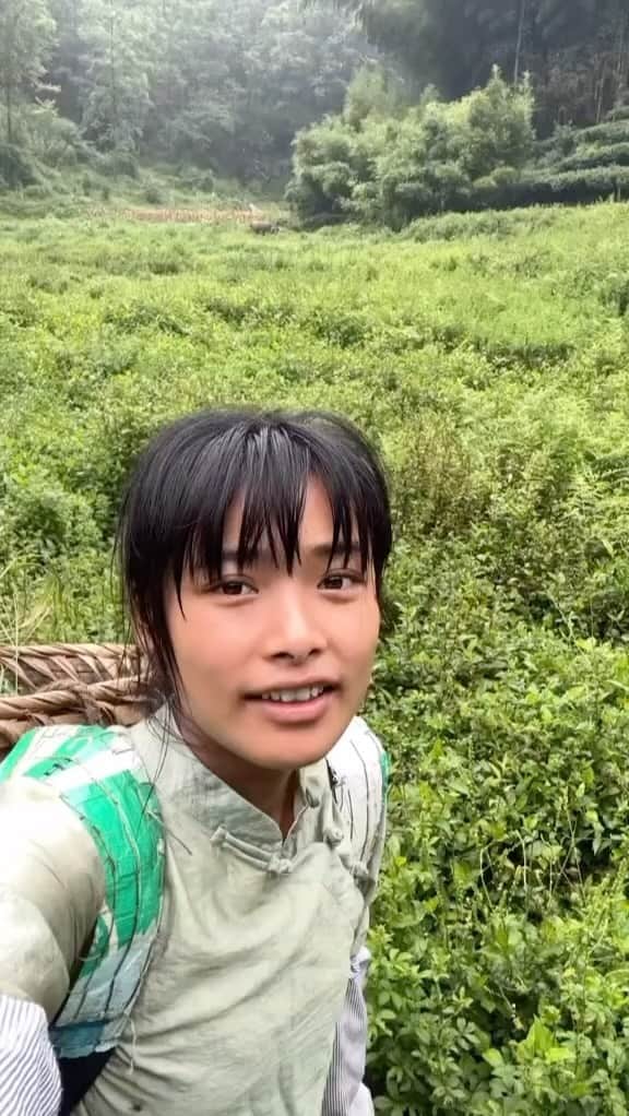 Earth Picsのインスタグラム：「Meet @chen_dongmei_202 a village girl living in Sichuan china 🇨🇳. She makes videos from her daily life living in a village with her water buffalo 🐃 Niu Zai.」