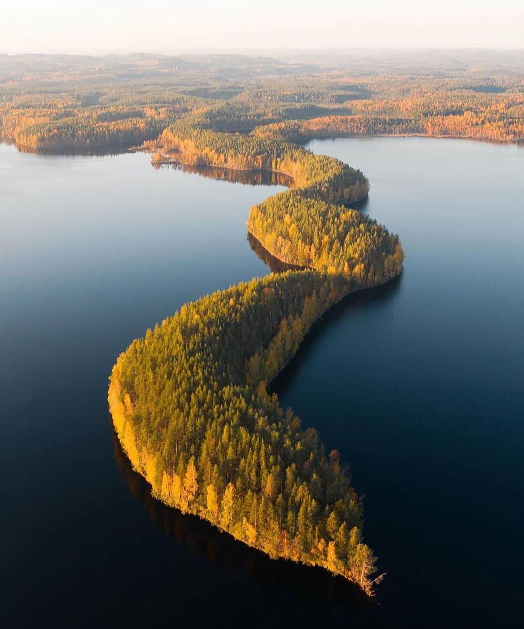 フィンランド政府観光局のインスタグラム：「Leivonmäki（レイヴォンマキ）国立公園は、中央フィンランドをミニチュアサイズにしたような場所です。ケトルや氷河期の迷子岩などの地形やこの国立公園ならではの動物、湿地帯で摘める野生のベリーなど、楽しめることはたくさんあります。 ． 📸 @lassivalimaa Kiitos! 🙏  #visitfinland #ourfinland #visitfinlandjp #finland #北欧旅行 #travelgram #フィンランド #フィンランド政府観光局 #北欧 #travel #instatravel #travel #travelgram #travelling #traveler #旅したくなるフォト #旅行 #旅 #海外旅行 #travelphotography #旅行大好き #旅行好き #旅スタグラム #旅好き #ヨーロッパ旅行 #旅に出たい #トラベル #国立公園」