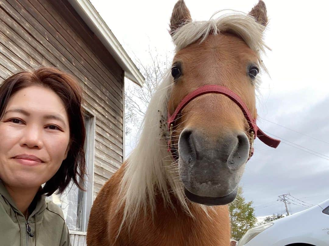 業務田スー子のインスタグラム：「大阪へ移動なう  🕊お知らせ〜🕊  関西テレビ 火曜13:50〜15:20 生放送 旬感LIVEとれたてっ！  ↑本日、スー子ちゃん 人生初の生放送に出まーす(； ･`д･´)ｺﾞｸﾘﾝｺ。 大丈夫なんか。。。!?  カンペがん見して不自然かもだけど💦 お時間御座いましたらご視聴くださいませ🙇‍♀️✨  頑張るど〜っ💪✨  #関西テレビ #旬感liveとれたてっ #北海道旅行 #北海道観光#ソフトクリーム #北海道ソフトクリーム #ミニチュアホース #お店の前にミニチュアホース#馬が好き #🐴」