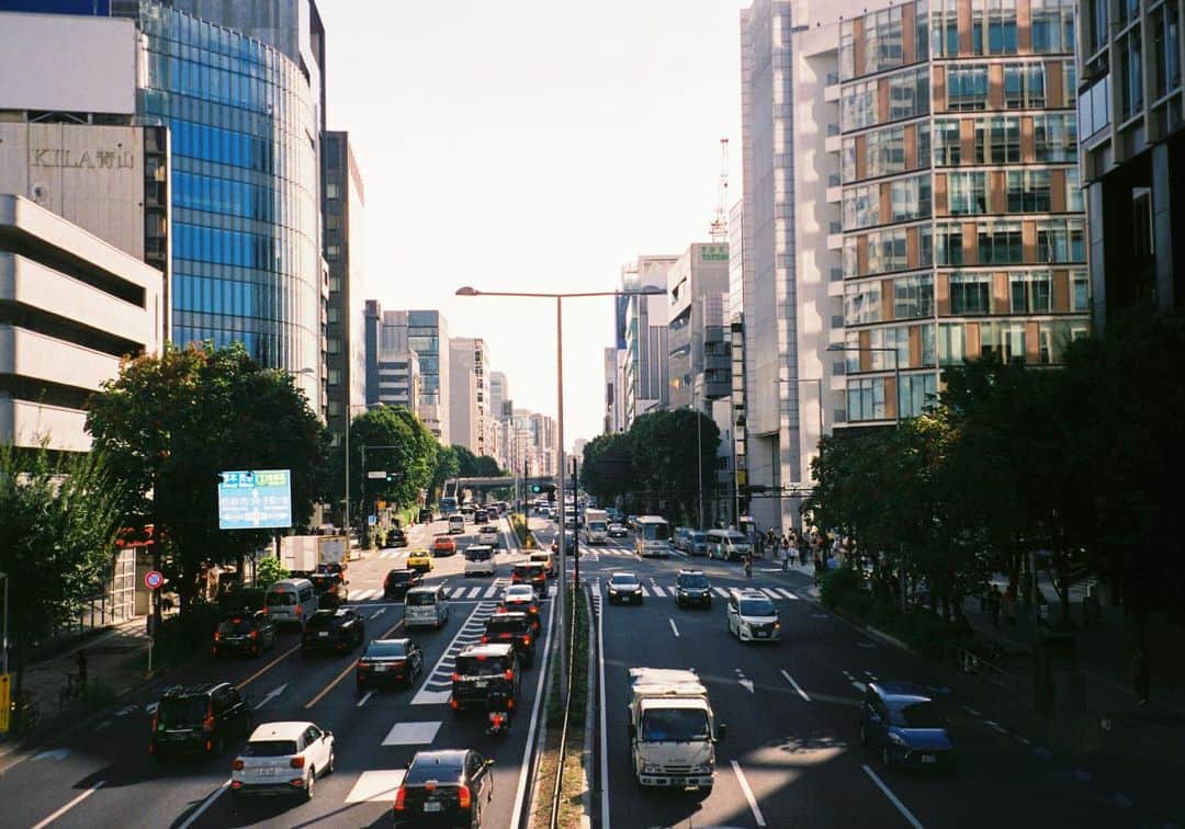 麻絵さんのインスタグラム写真 - (麻絵Instagram)「とある日の散歩。  #麻絵カメラ #フィルムカメラ」10月10日 12時19分 - asaesan