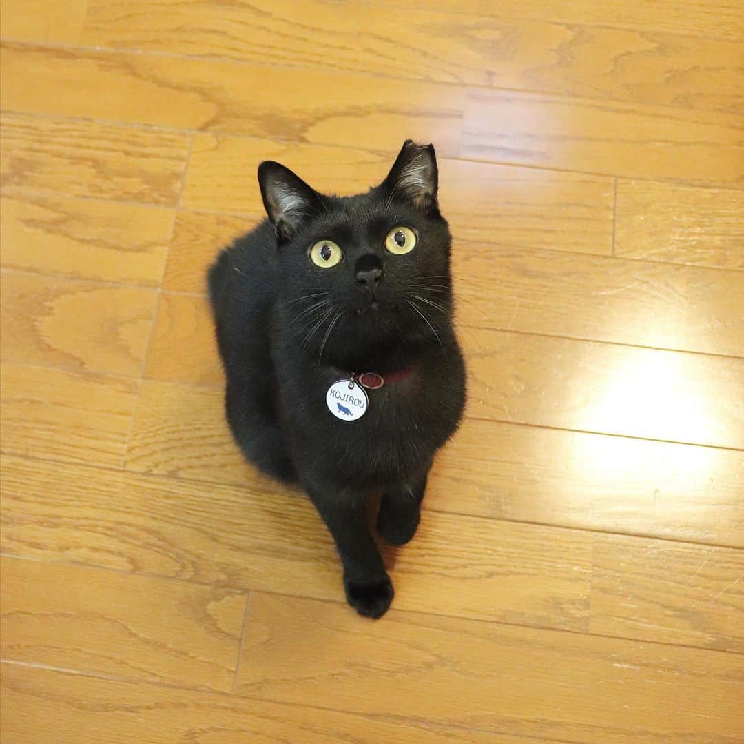Nahoのインスタグラム