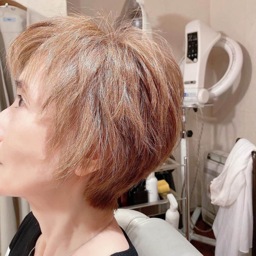 小柳ルミ子さんのインスタグラム写真 - (小柳ルミ子Instagram)「NEWヘアスタイル🤎  完成しました😆👍  ドライヤーでパパパッと乾かして 手ぐしでOK🙆‍♀️  ホットカーラーも アイロンも ピンカールもいらない❌  超簡単で楽ちん⭕️  後頭部の自然な丸み　凄い😆 松崎君 カット上手いなぁ💮  カラーも綺麗に染まりました🤎  スッキリ　サッパリ　嬉しーい😆‼️  ⠀  #美容院 ⠀ #美容師 ⠀ #ヘアカラー ⠀ #ヘア ⠀ #ヘアアレンジ ⠀ #ヘアスタイル ⠀ #ヘアカット ⠀ #ヘアサロン ⠀ #カラーリング ⠀ #カット ⠀ #ショートヘア ⠀ #ショートカット ⠀ #スッキリ ⠀ #ファッション ⠀ #アンコキーヌ ⠀ #藤島彩子 さん⠀ #小柳ルミ子」10月10日 7時33分 - rumiko_koyanagi