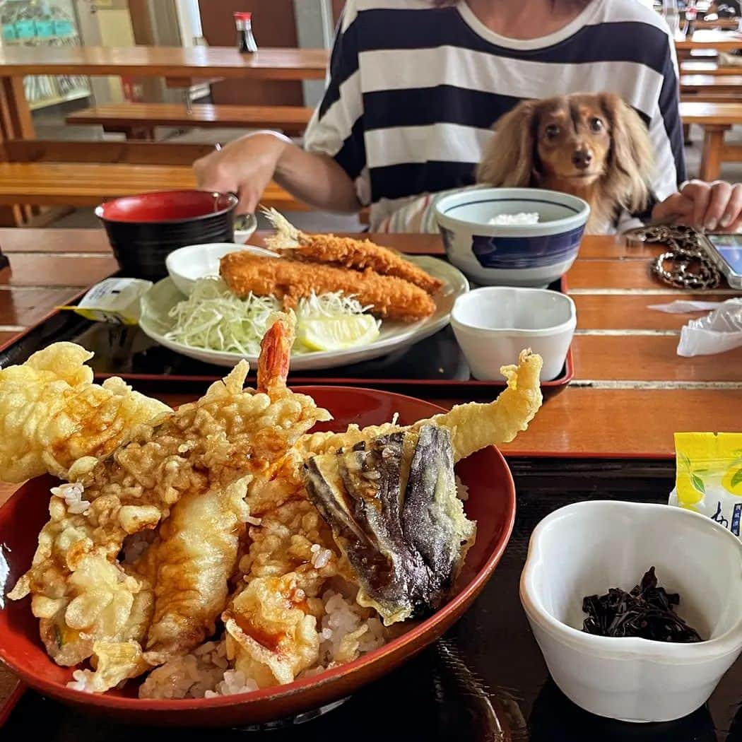 くるみんのインスタグラム