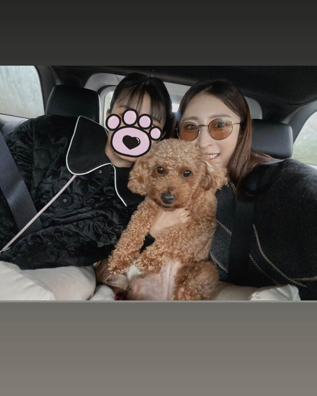 Ayaさんのインスタグラム写真 - (AyaInstagram)「46歳になりました。 家族グループLINEで 母から【36歳おめでとう❣️】ときて なんだか10歳若返った気分です。 すかさず、おばあちゃん46だよと 息子が訂正。 人生100年時代と言われているので これでも折り返し地点はまだ先。 振り返って言えるのは、私の46年を彩ってくれたのは 出会いの数々、そして 家族も出会いの一つ。家族はチーム。アルも家族なので 今年は🐕アルファーストの旅 山梨の ドッグヴィラ旅行へ  ドリンクカーが20時まであいていて 生ビールを何度もお代わりして BBQして、温泉とサウナ アルは自由に歩き回り、楽しそうでした！晴れた今日は スワンに！ワンコもオッケー👌  なんにもプレゼントはいらないから こうやって思い出を積み重ねていける事がいい。 いつでも取り出せて、思い出ってなんてエコなんでしょう！ 4人＋1匹揃うことは この先なかなかないと思うので 記念に！ #誕生日#誕生日旅行#ドッグヴィラ富士河口湖#山梨観光#山梨カフェ#山梨旅行  #家族旅行」10月10日 21時29分 - aya_green1010