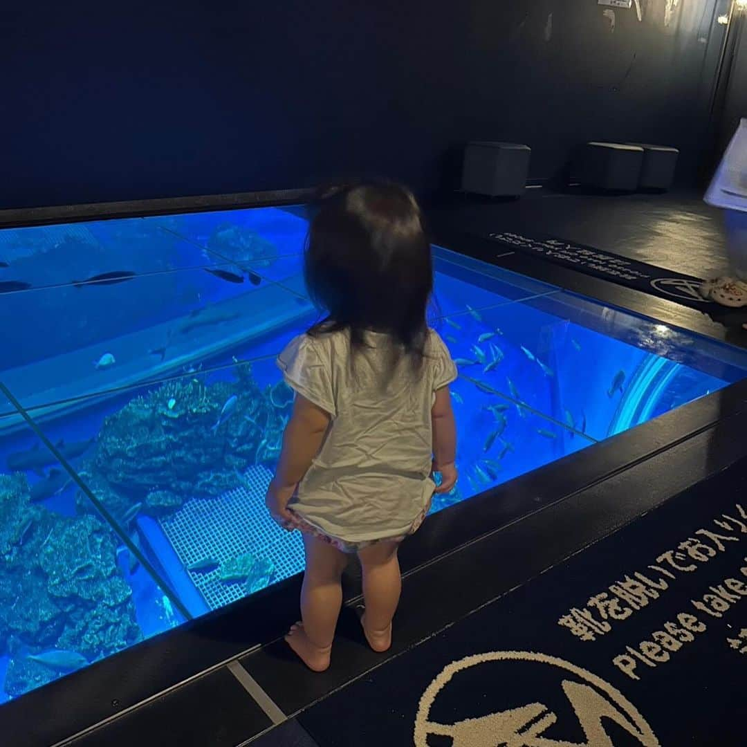 酒井蘭さんのインスタグラム写真 - (酒井蘭Instagram)「初！かりゆし水族館🐟 娘たちはこの上から見るやつにはまってました😂❤️  長女は海の中で寝てるみたいー！ってはしゃいでて 次女は一歩を踏み入れるのが怖くてびびってました😂  #沖縄子連れ旅行 #沖縄旅行 #家族旅行 #沖縄 #かりゆし水族館」10月10日 20時08分 - ransakai0313