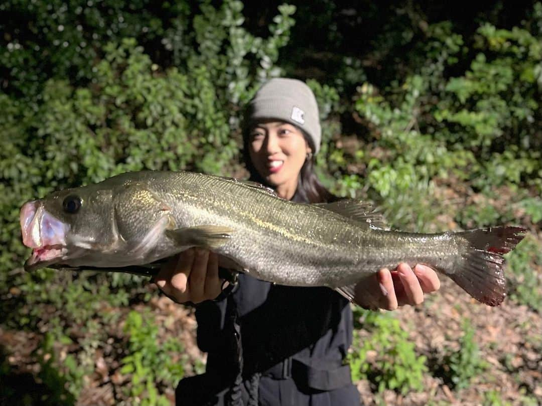 岡田万里奈のインスタグラム：「. . . . ここ最近で一番嬉しかった魚！！！！ そんなに大きくはないけどよく肥えたシーバスでした！ . この日シーバスロケで色々あって、 モヤモヤがおさまらず、帰宅後すぐにナイトシーバスへ。 . さすがに24時間近く起きてたから、 陸揺れもあってフラフラだったけど ポイントついて2時間くらい寝たら完全復活🤣笑 . 釣り始めてからしばらくは本当魚いないし 青潮で水色もおかしいしもう無理だ…と思ったけど 突如1時過ぎに二発だけボイル🔥 . これを逃したらもう絶対ないと とにかく一投に全力で気持ちを込めた！ すると、なんと三発目はわたしのルアーに出てくれました😭 . 深夜だったけど、叫び回りたいくらい嬉しかった…！ （一応近所迷惑なので叫ばなかった） . その後バイトはなかったけど、 本当に本当に本当にこの一匹に救われました。 この秋のシーバス釣りが楽しみ🔥🔥🔥 . . . #シーバス #シーバス釣り #シーバスフィッシング  #東京湾奥シーバス #東京湾奥 #シーバスルアー  #longin #ウェイキーブー #wakeyboo  #ビッグベイト #ビッグベイトシーバス  #seabass #seabassfishing #seabassgame  #catchandrelease #ladyangler #fishinglife #🎣」