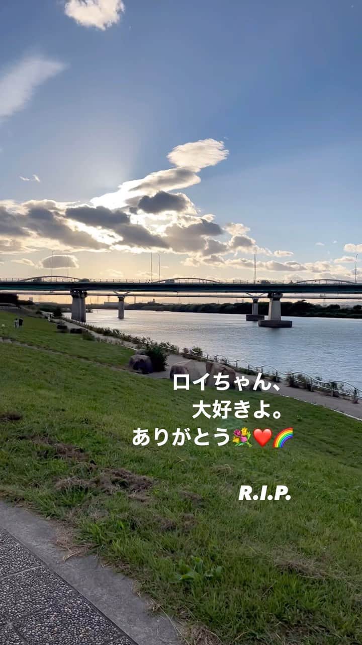 のインスタグラム：「また可愛い可愛い天使が、  本物の天使になりました  ロイちゃん、ありがとう  お空で悠鼓に会ったら仲良くしてね」