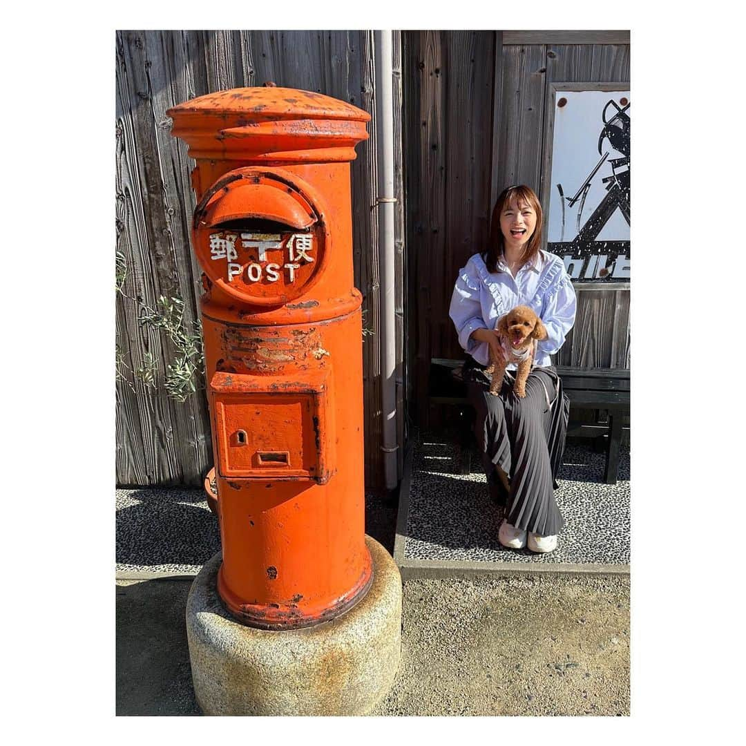 阿部芳美さんのインスタグラム写真 - (阿部芳美Instagram)「#小豆島 🏝️🐕☕️ ずっと行ってみたかった場所👀！  海も日差しも時間も ゆっくり穏やかで気持ちが良かった〜☺️  むぎも一緒に家族旅行できて幸せ🫶  #エンジェルロード #全力ダッシュ #🐕 #魔女の宅急便 #全力で跳びます #🙋‍♀️ #映画村 #全力で竹馬 #🙋‍♂️ #コーヒーとジェラート #愛犬とお出かけ  #大好きです小豆島」10月10日 20時37分 - yoshimi_abe0410