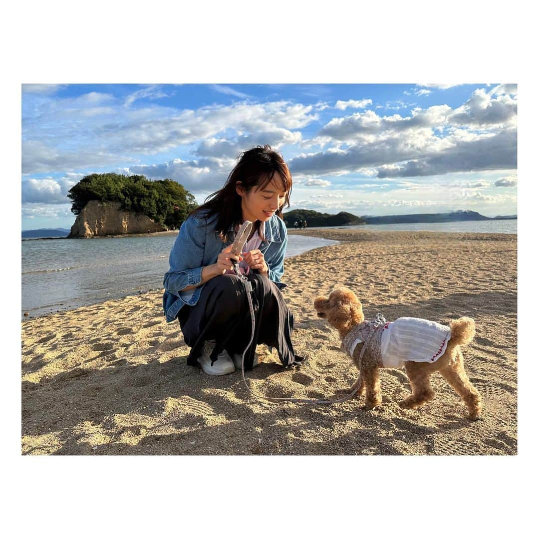 阿部芳美さんのインスタグラム写真 - (阿部芳美Instagram)「#小豆島 🏝️🐕☕️ ずっと行ってみたかった場所👀！  海も日差しも時間も ゆっくり穏やかで気持ちが良かった〜☺️  むぎも一緒に家族旅行できて幸せ🫶  #エンジェルロード #全力ダッシュ #🐕 #魔女の宅急便 #全力で跳びます #🙋‍♀️ #映画村 #全力で竹馬 #🙋‍♂️ #コーヒーとジェラート #愛犬とお出かけ  #大好きです小豆島」10月10日 20時37分 - yoshimi_abe0410