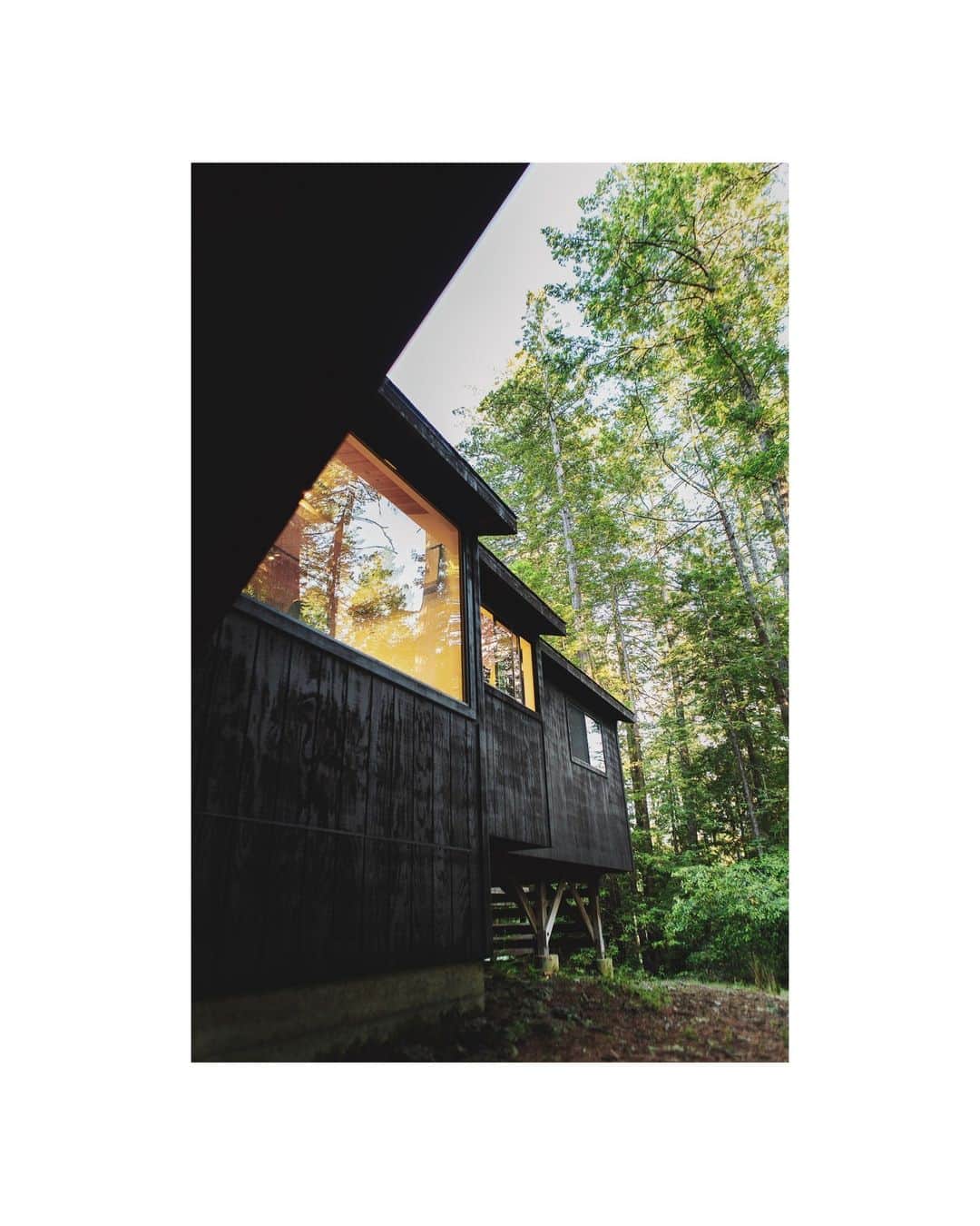 Airbnbさんのインスタグラム写真 - (AirbnbInstagram)「Relax in the redwoods.   🏡 Sunset Ridge Cottage 📍 Gualala, California, USA 📷 Photos by @andytupman」10月10日 20時40分 - airbnb