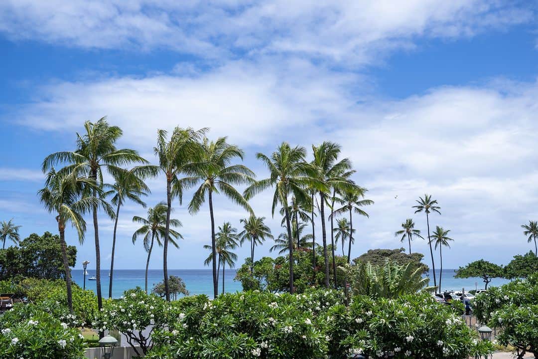 The Terrace By The Seaさんのインスタグラム写真 - (The Terrace By The SeaInstagram)「@the_terrace_by_the_sea Hawaii Wedding情報はこちら𓂃𓈒𓏸  ---------  ウェイティングルームには おふたりのお写真などウェルカムグッズを。 　 前室では絆が深まる ご家族参加型のセレモニーを取り入れるカップルも𓍯  ザ・テラス バイ・ザ・シーで人気のセレモニーは 「サンドセレモニー」と「ベールダウン」  挙式中だけでなく、 きっとゲストの皆様の心に残る場面に...  -------------------  = produce = モチーフ @motif_resort  = photo = @betterhalf_hawaii  --------------------  ハワイのザ・テラス バイ・ザ・シーにて 挙式を検討されていらっしゃる方におすすめ✯  2023年9月にオープン11周年を迎えることを記念して、 お得なアニバーサリープランのご案内を開始！  《組数限定 11th Anniversary Plan 最大 28.9万円 OFF！ 》  おふたりのご希望に合わせて選択可能な２つのプランを ご用意。  挙式に必要な基本挙式、ドレス＆タキシード、新婦様ヘ アメイク、アルバムが含まれるシンプルプランA（30組限 定）。  プランB（20組限定）はさらにロケーション撮影や アルバムアップグレードなどが含まれた充実プラン。  プロフィール欄のURLより、ウエディングの相談ご予約 が可能です。 小さい疑問や質問にもお答えいたしますので、お気軽に お問い合わせくださいませ🌺  ザ・テラス バイ・ザ・シーでは、健康と安全を最優先に 配慮し、安心してハワイでの時間を楽しんでいただいて おります𓆉  #テラスバイザシー #TheTerraceByTheSea #TAKAMIBRIDAL #タカミブライダル #MotifRESORT #テラス花嫁 #モチーフ花嫁 #リゾートウェディング #リゾート婚 #ハワイウェディング #ナウパカチャペル  #ウェルカムグッズ #ベールダウン  #サンドセレモニー」10月10日 20時58分 - the_terrace_by_the_sea