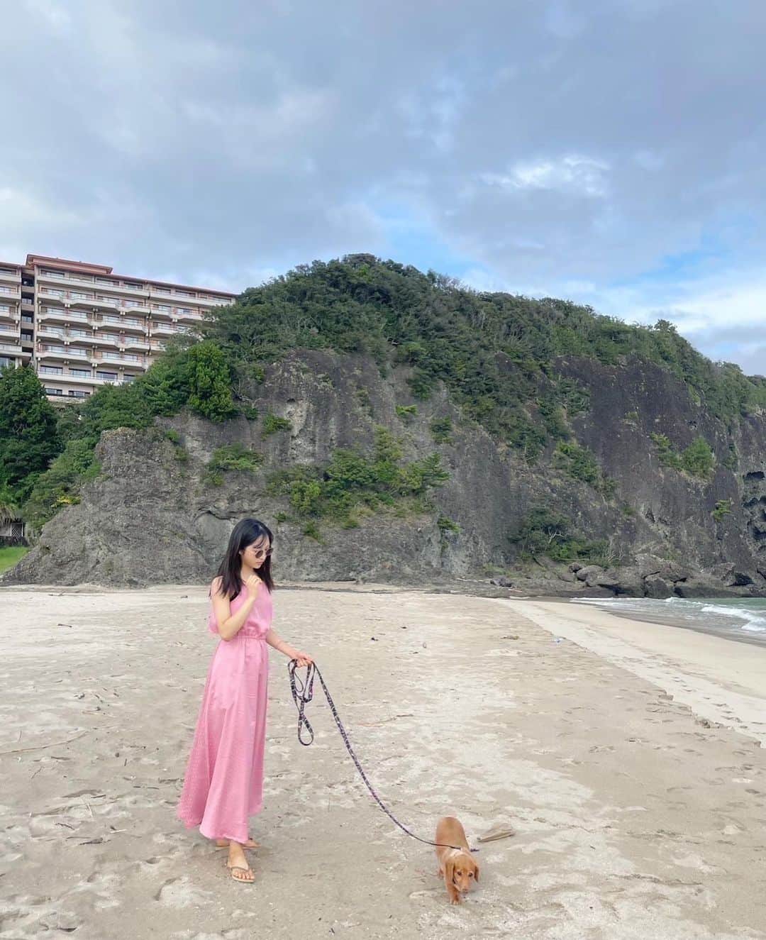 のインスタグラム：「夏の終わり ゴンくんとの旅🌻🐾🔖  #夏#海#わんちゃん」