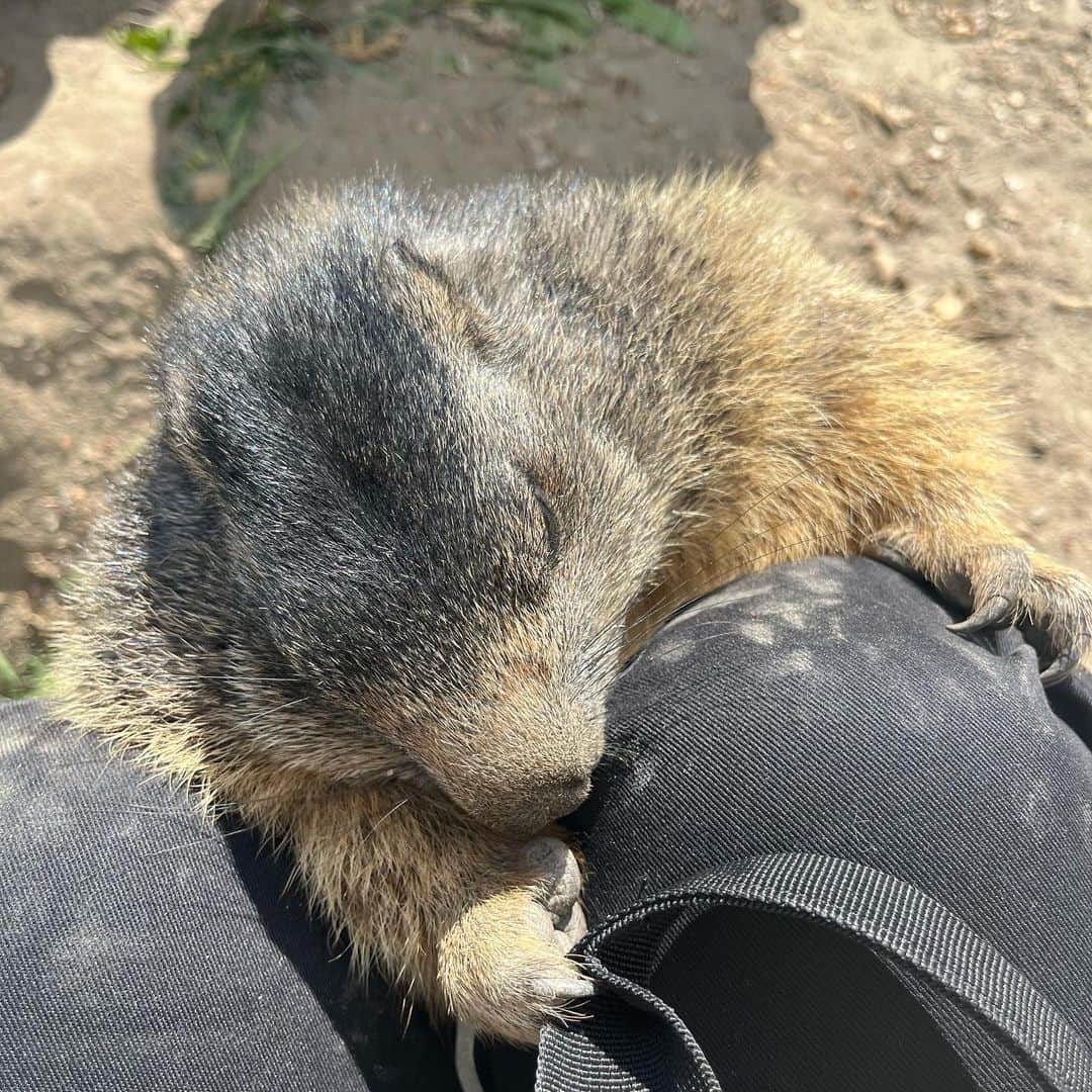 冨田せなさんのインスタグラム写真 - (冨田せなInstagram)「Hello:)  #saasfee  #yonex #smith #columbia #nixon #stancesocks #galliumwax #callafactory #knittronic #superfeet #cwx #ark #ilbase #グローバルWiFi #globalwifi #gobeyonder #hydroflask #hyperice #高鷲スノーパーク #小布施クエスト #畑歯科医院」10月10日 21時21分 - sena_tomita