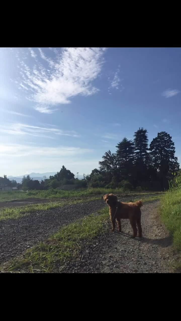 チックンとプーちゃんのふるさと? From Japan??のインスタグラム：「秋の空 #思い出」