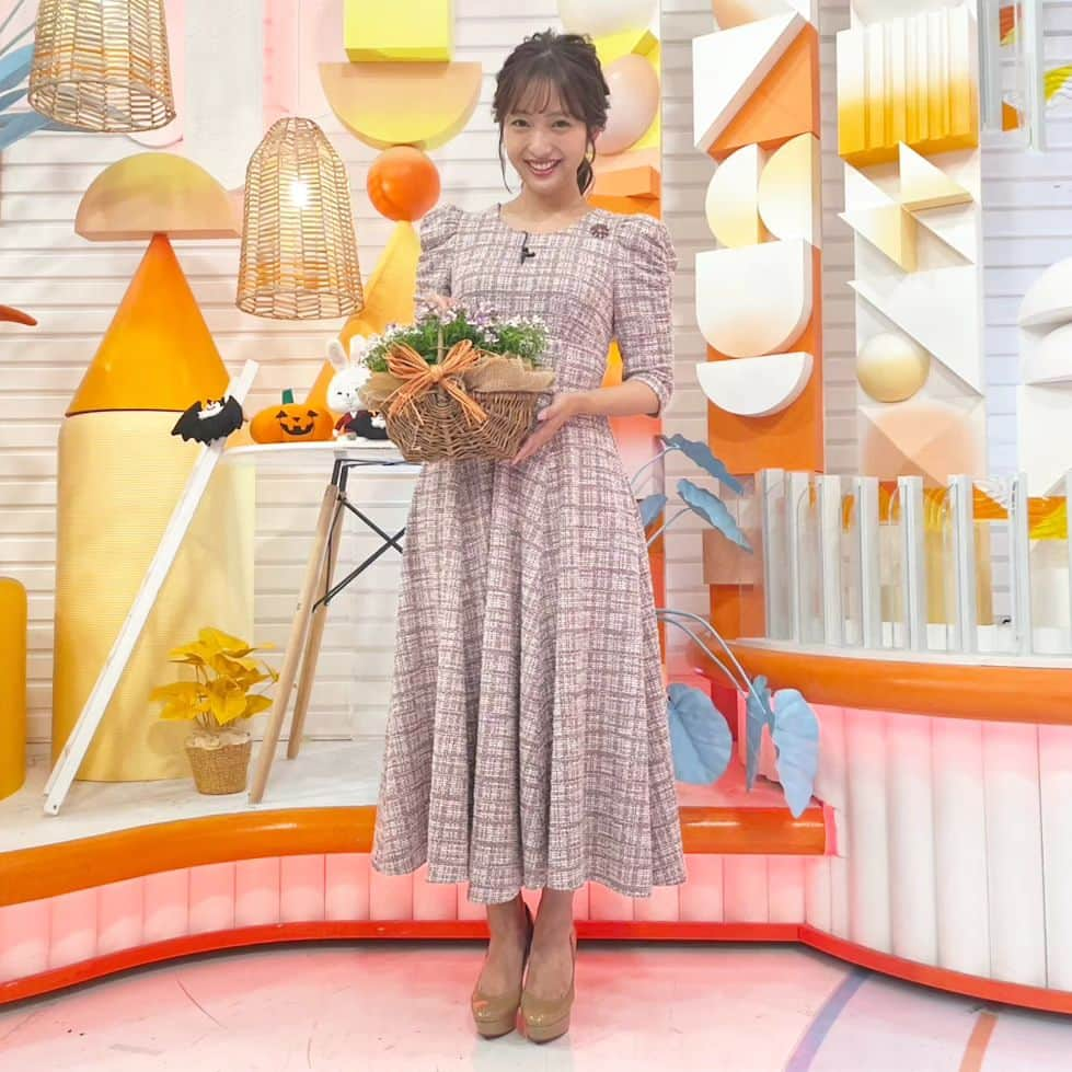 フジテレビ「めざましテレビ」さんのインスタグラム写真 - (フジテレビ「めざましテレビ」Instagram)「まりのです🙋  スタジオにコウモリさんを見つけました🦇ハロウィンムードです🎃  そしてきょう紹介したのは「ネメシア　コットンシリーズ」🌸 こんもりまとまりのある小花が特徴、ということで、小花っぽいポーズをしてみました✨ きょうもいつものごとく酒主アナから「これは小花ポーズなのか、、？」と言われましたがめげません😊  #藤本万梨乃 #酒主義久 #めざましテレビ」10月10日 12時57分 - mezamashi.tv