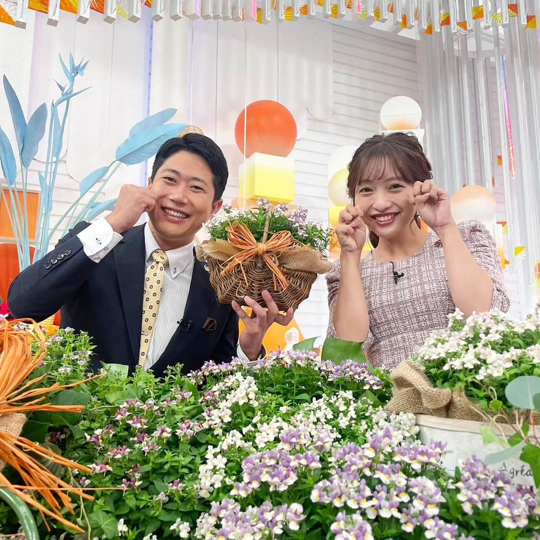 フジテレビ「めざましテレビ」さんのインスタグラム写真 - (フジテレビ「めざましテレビ」Instagram)「まりのです🙋  スタジオにコウモリさんを見つけました🦇ハロウィンムードです🎃  そしてきょう紹介したのは「ネメシア　コットンシリーズ」🌸 こんもりまとまりのある小花が特徴、ということで、小花っぽいポーズをしてみました✨ きょうもいつものごとく酒主アナから「これは小花ポーズなのか、、？」と言われましたがめげません😊  #藤本万梨乃 #酒主義久 #めざましテレビ」10月10日 12時57分 - mezamashi.tv