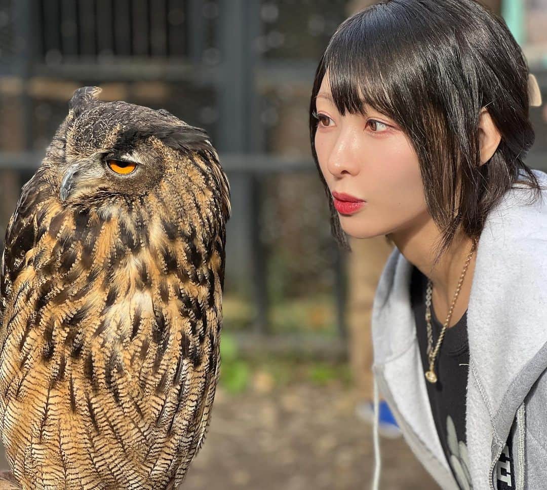えっちゃんさんのインスタグラム写真 - (えっちゃんInstagram)「.  #ノースサファリサッポロ  . . 過去一いい動物のテーマパークだった！ 全てにおいて距離が近い！ カンガルーやら猿も触れて ライオンやトラにも餌あげられます .  #ノースサファリ  #北海道旅行  #北海道観光 #動物園」10月10日 14時31分 - ecchan_bom2