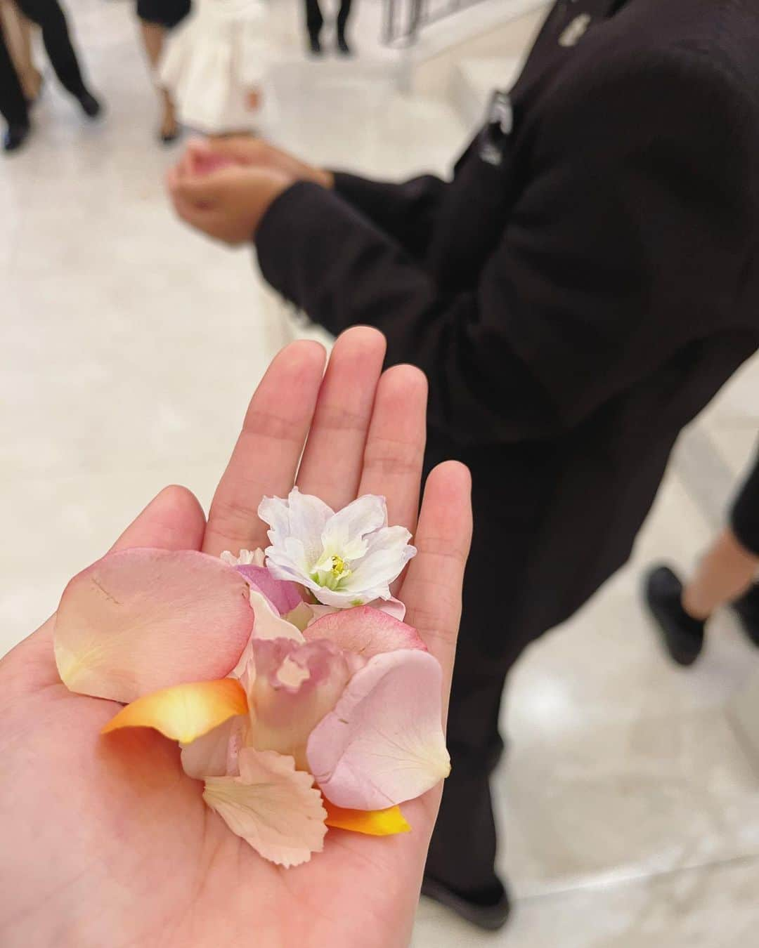 松本彩友美のインスタグラム：「結婚式💒  毎週末、野球のユニフォームばかり着ている うちのボーイズたちもおめかしして  リングボーイしました💍✨  ずっと会いたかったベビちゃんにも会えて  幸せいっぱい〜  #結婚式 #modelofficeg #モデルオフィスg #sayumi #彩友美 #さゆみ」