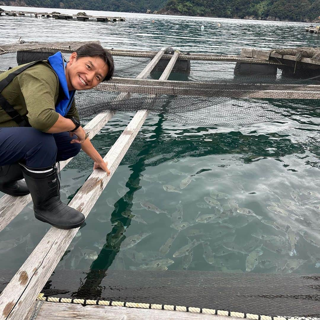 山中真のインスタグラム：「・ 福井の若狭湾で養殖される フグの王様、トラフグ。  傷つけ合わないように 1匹ずつ歯を切って、 毎日見て様子がおかしければ ちゃんと1匹ずつケアをして。  丁寧に育てられたフグは 若狭フグとしてブランドに。  リニューアルされたばかりの オシャレなお部屋で 白身の王様をぜひご堪能あれ。  若い頃フグを頂いた時は 全然美味しさ分からんかったけど 昨日食べたフグは 旨味も甘味も身の弾力も、 ほんとに美味しかった！  フグがよかったのか 年とったのか。。。  #mbs #よんチャンtv  #毎日生中継 #山ちゃん中継 #若狭フグ #若狭佳日」