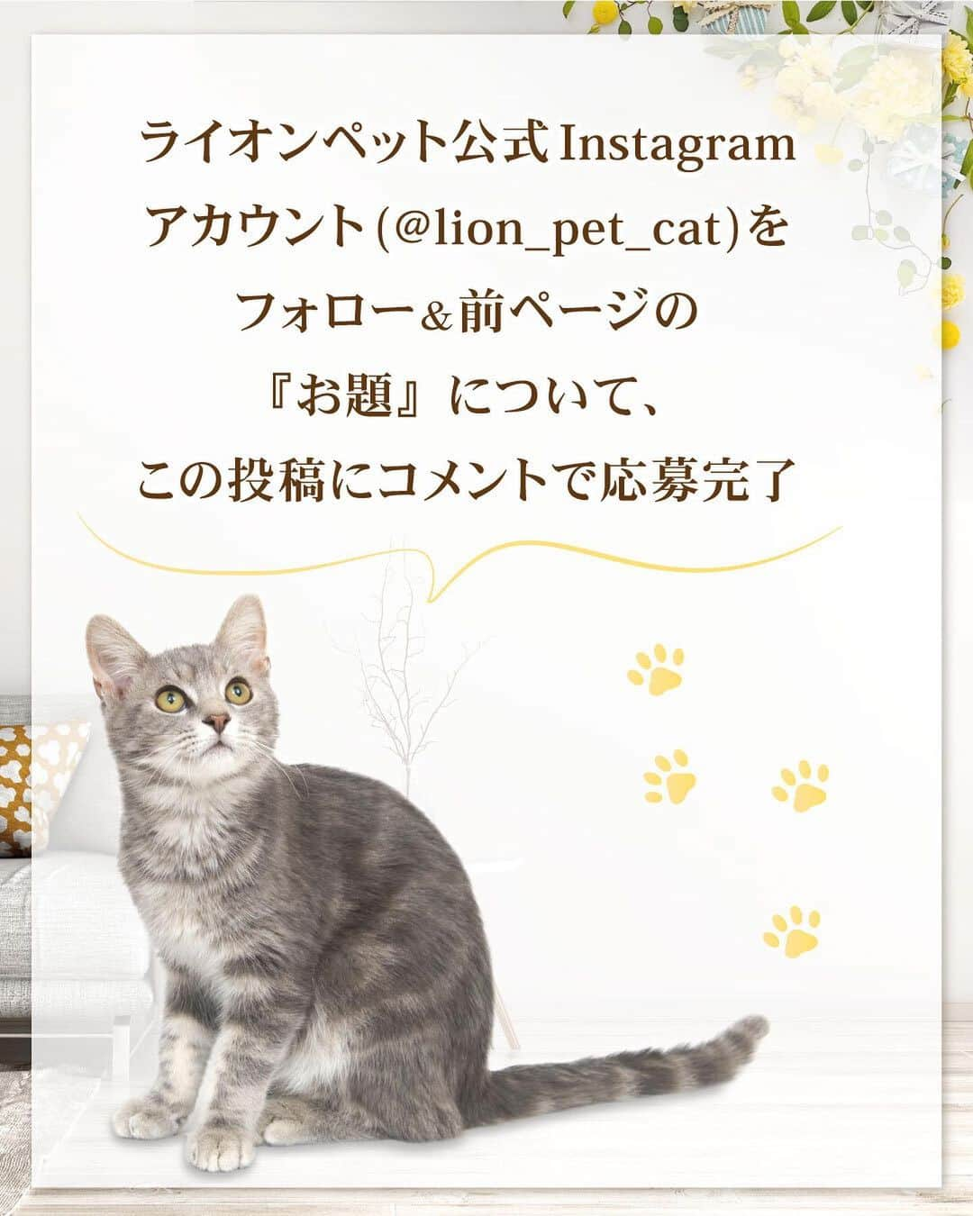 ライオン商事株式会社さんのインスタグラム写真 - (ライオン商事株式会社Instagram)「今月は『ナチュラルブラウン』🤎 コメント＆フォローで猫トイレセットプレゼント🎁  💡コメントのお題💡 『猫ちゃんのトイレ容器を買いかえるきっかけは？』💬  猫はトイレにとてもこだわる動物。🐈 愛猫が喜ぶ快適なトイレ環境を用意してあげることはオーナーの大切な役目です。  『獣医師開発（※）ニオイをとる砂専用猫トイレ』は、 「猫ちゃんとオーナーにとって理想のトイレ環境」を 目指した、固まる猫砂専用の猫トイレです❣️ ※東京猫医療センターの服部獣医師と当社獣医師の共同開発  今月は、【ナチュラルブラウン】のトイレセットをプレゼント！ 猫ちゃんが喜ぶトイレ環境、作ってみませんか？😆  みなさんからのたくさんのご応募お待ちしております🍀  ■応募期間 2023年10月10日（火）～10月24日（火）  ■応募方法 ①ライオンペット公式アカウント@lion_pet_cat をフォロー！ ②こちらの投稿にあなたの答えをコメントして完了！ 　『猫ちゃんのトイレ容器を買いかえるきっかけは？』  ・ご応募は1アカウント様につき、1回と限らせていただきます ・ストーリーズ投稿は対象外となります  ■当選人数 22名様　  ■プレゼントセット内容 【獣医師開発　ニオイをとる砂専用　猫トイレ ナチュラルブラウン】1個 【ニオイをとる砂 5L】2袋 【シュシュット！厚手おそうじシート 猫用】1個 【ニオイをとる砂　ウンチもオシッコも臭わない袋】試供品  ■抽選・当選連絡について 応募いただいた方の中から抽選を行い、 当選者の方へDM連絡をいたします。  ■利用規約 本キャンペーンへ参加される場合は、本応募要項に同意いただいた上でのご応募となります。 応募要項にご同意いただけない場合は、キャンペーンに応募することができません。 また、本キャンペーンへの応募をもって、本応募要項に同意したものとみなします。   ■応募資格 ・日本国内にお住まいの方で、かつ賞品のお届け先が日本国内の方に限らせていただきます。 ・ライオンペット公式Instagramアカウント「@lion_pet_cat」をフォローされている方が対象です。 ※賞品発送時点まで当社アカウントをフォローされている必要があります。 ・キャンペーン期間中に、Instagramのアカウントを保有しており、Instagramアカウントを公開設定にしている方。 ※Instagramアカウントを非公開にしている場合、ツイートを確認することができないため本キャンペーンには参加できません。 ※Instagramアカウントを削除された場合、当選のご連絡を差し上げることができないため本キャンペーンで当選された場合も無効となります。 ・本規約について同意されている方。  ■応募に際する注意事項 ・DMと当選品の発送をもって当選者の発表と代えさせていただきます。 ・非公開アカウントは対象外となりますのでお気を付けください。 ・複数アカウントを使用しての応募は無効となります。 ・投稿を複数行っても応募は１回分のみのカウントとなります。 ・当選品は当選の連絡後2週間以内程度、国内のみの発送です。 ・本キャンペーンにご応募いただくにあたり、応募者はキャンペーンの運用について本アカウントの運用方法に従うものとし、一切異議申立てを行わないものとします。 ・本キャンペーンは予告なく中止、または変更をさせて頂く場合がございます。 ・本キャンペーンは、Meta社・Instagramとは一切関係ありません。 ・イベントは中止となる可能性があります。 ⚠️なりすましアカウントにご注意ください。本キャンペーンの当選者の方には、DMよりご連絡させていただきますが、DM上でクレジットカード情報などの個人情報の入力を促すことはございません。 ※ライオンペット公式アカウントは、青色の認証バッジがついている@lion_pet_cat @lion_pet_dog の2つです。公式アカウント以外からのフォローや不信なDMを受け取った場合は、URLのクリックや、個人情報などの入力、返信やフォローは行わないでください。  【個人情報の取扱いについて】 ・当選時にご入力いただきます個人情報は、当選品発送のみに使用し、それ以外の目的では利用いたしません。 本キャンペーンへの応募をもって、個人情報の取扱いに同意したものとみなします。  #獣医師開発猫トイレ #ニオイをとる砂 #猫トイレ #ねことくらす #ネコのいる暮らし #猫のいるくらし #ねことの生活 #ねこ #ネコ #猫 #にゃんこ #ニャンコ #ねこ部 #ネコ部 #猫部 #ねこスタグラム #ネコスタグラム #猫スタグラム #ねこのいる生活 #ネコのいる生活 #猫のいる生活 #ねこ好きさんと繋がりたあ #ネコ好きさんと繋がりたい #猫好きさんと繋がりたい #猫大好き部 #保護猫 #保護猫と暮らす #ライオンペット #lionpet #lionpetcat」10月10日 16時09分 - lion_pet_cat