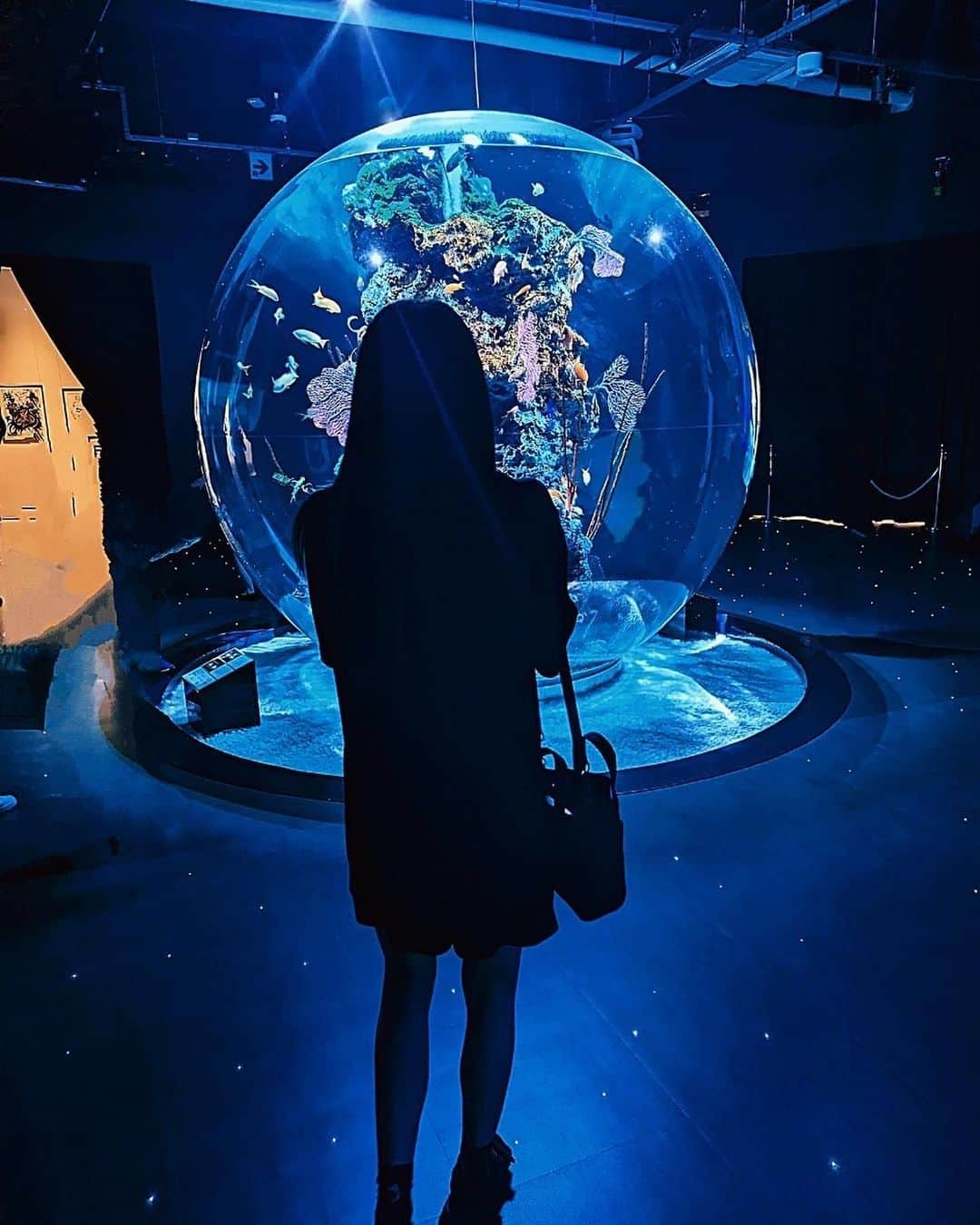 黒沢美怜のインスタグラム：「🐟💎✨  #アートアクアリウム #アクアリウム #水族館」