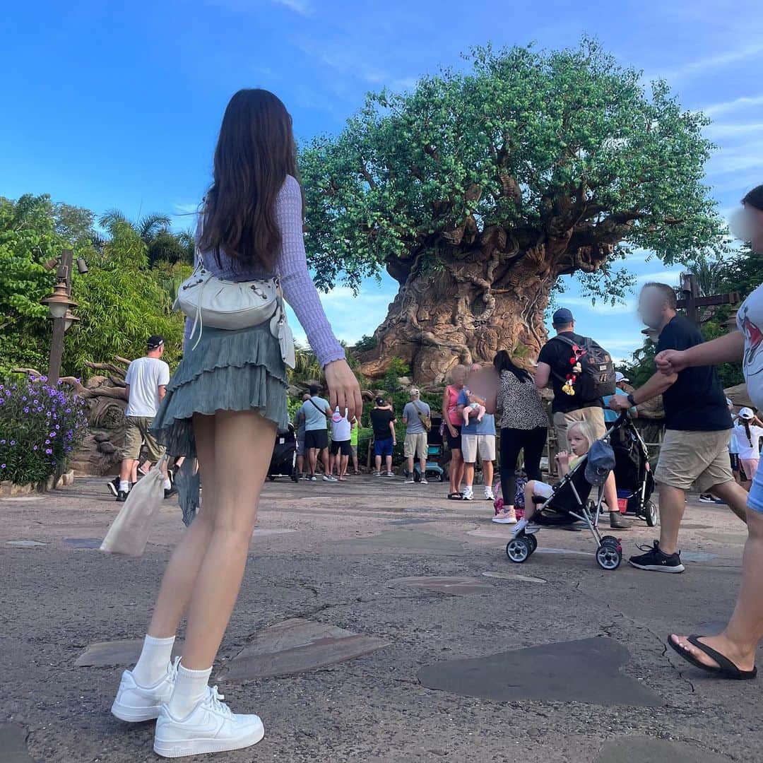 のインスタグラム：「✧  人生トップレベルの感動inフロリダディズニー🏰💜  ずっと感動して震えてた🫶🏻 (伝わらなすぎる写真の投稿)  #floridadisney #disneyworld  #animalkingdom  #disneyhollywoodstudios #disneyepcot」