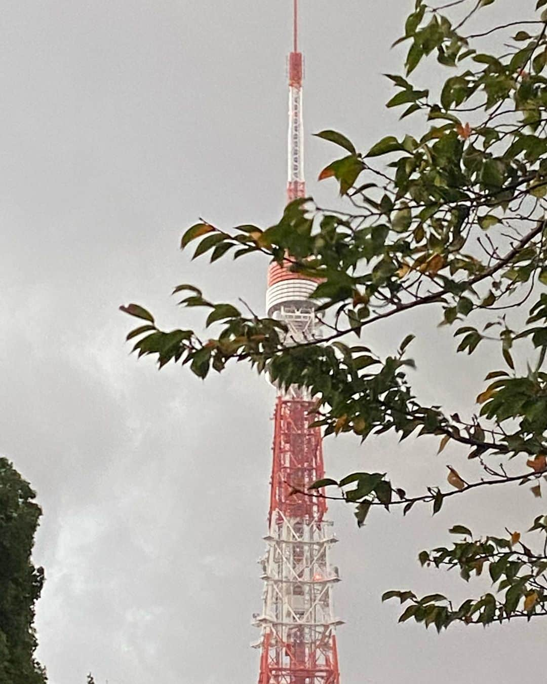 寺川奈津美さんのインスタグラム写真 - (寺川奈津美Instagram)「降りそうだなぁとこの写真撮ってたら、、ずぶ濡れになりました。 #こどもたち #ごめん #雨宿り中です」10月10日 16時52分 - natumikannnn