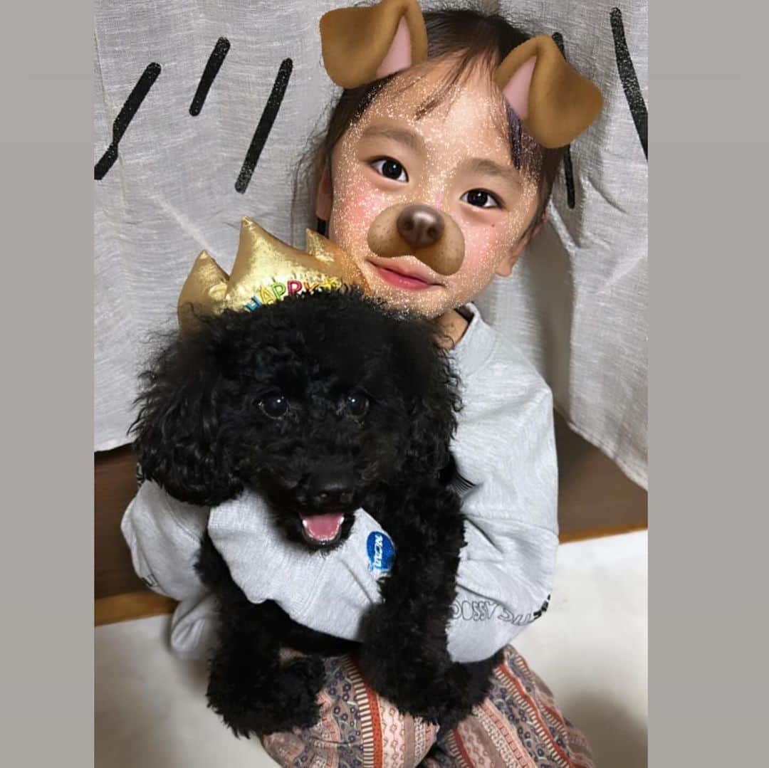 Kazukiさんのインスタグラム写真 - (KazukiInstagram)「10月5日🎂 みみたん1歳になりました💕 ・ すごくヤンチャで手のかかる女の子だけど、 りあと毎日元気いっぱいに遊んでいます🎵 ・ いつも癒しをありがとう🥰 ・ 子ども達とみみたんの好きな音のなるおもちゃとハロウィンお洋服🎃👻をプレゼント🎁✨ ・ 大好きなご飯とケーキ🎂でお祝いしました🎊 ・ 今年もいっぱい家族で遊びに行こうね〜🏕️✨🏖️ ・ #1歳になりました　#愛犬　#トイプードル　#10月生まれ　#ハロウィンお洋服　#大家族漆山家　#癒し　#大好物でお祝い　#チワワ」10月10日 16時59分 - kazuki13mama