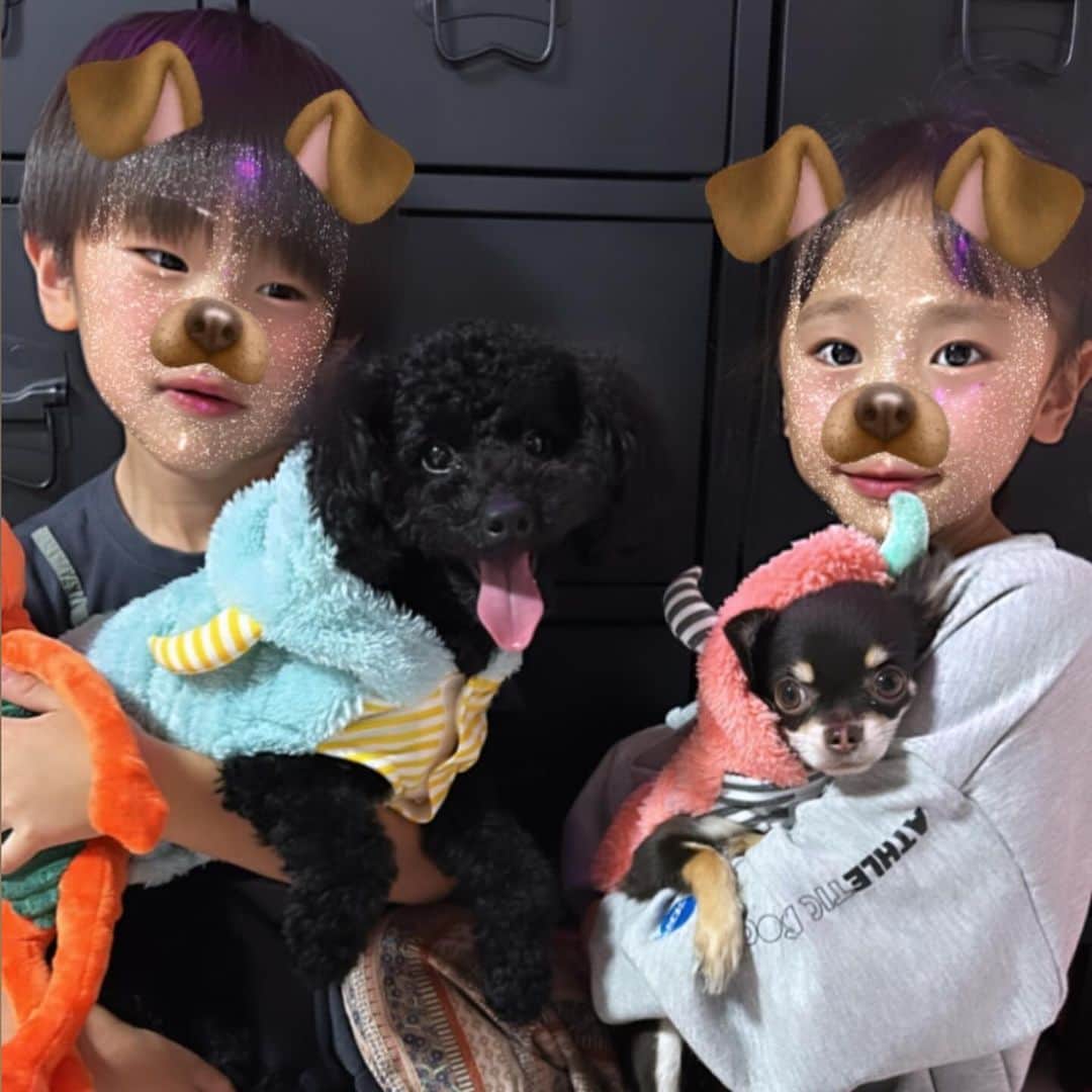 Kazukiさんのインスタグラム写真 - (KazukiInstagram)「10月5日🎂 みみたん1歳になりました💕 ・ すごくヤンチャで手のかかる女の子だけど、 りあと毎日元気いっぱいに遊んでいます🎵 ・ いつも癒しをありがとう🥰 ・ 子ども達とみみたんの好きな音のなるおもちゃとハロウィンお洋服🎃👻をプレゼント🎁✨ ・ 大好きなご飯とケーキ🎂でお祝いしました🎊 ・ 今年もいっぱい家族で遊びに行こうね〜🏕️✨🏖️ ・ #1歳になりました　#愛犬　#トイプードル　#10月生まれ　#ハロウィンお洋服　#大家族漆山家　#癒し　#大好物でお祝い　#チワワ」10月10日 16時59分 - kazuki13mama