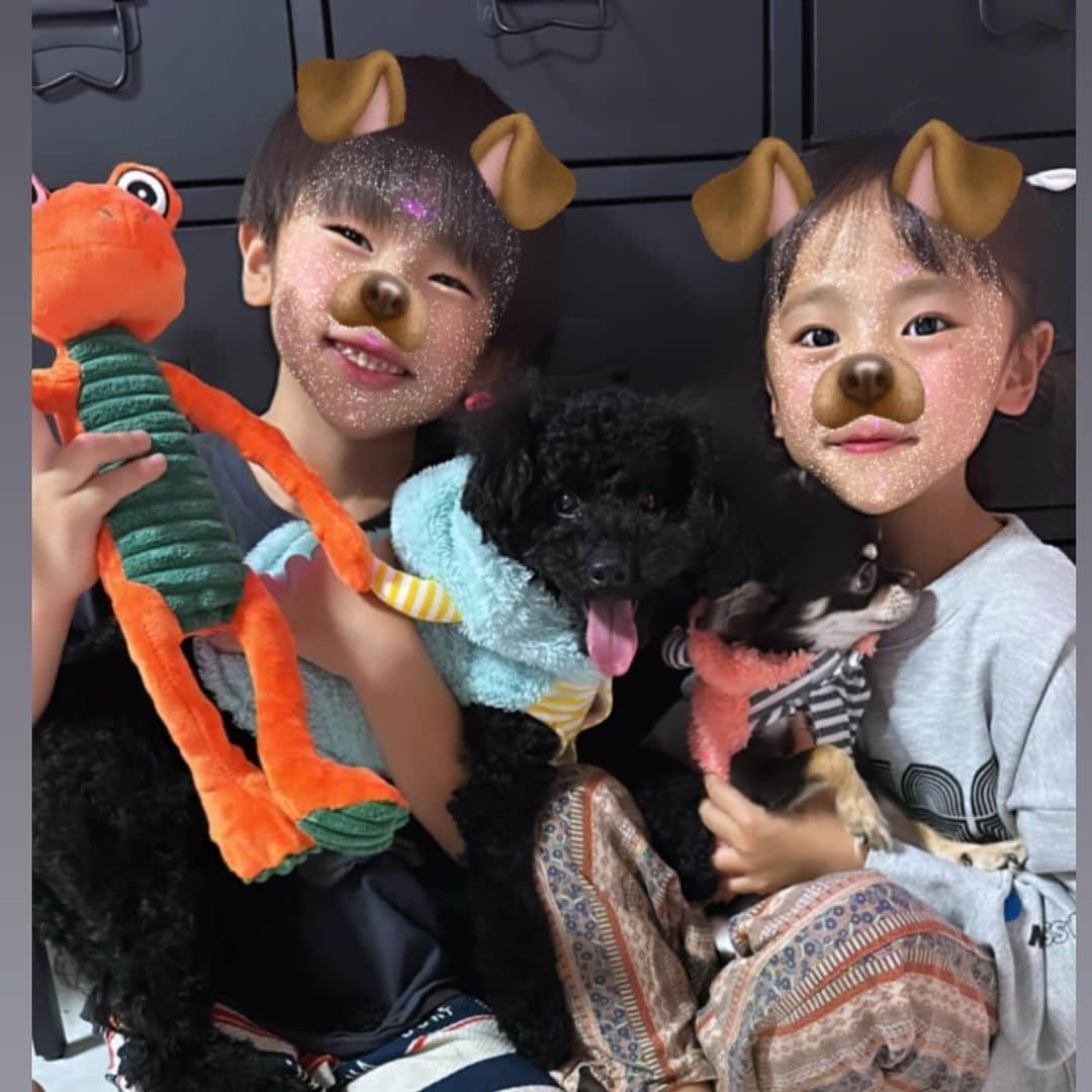 Kazukiのインスタグラム：「10月5日🎂 みみたん1歳になりました💕 ・ すごくヤンチャで手のかかる女の子だけど、 りあと毎日元気いっぱいに遊んでいます🎵 ・ いつも癒しをありがとう🥰 ・ 子ども達とみみたんの好きな音のなるおもちゃとハロウィンお洋服🎃👻をプレゼント🎁✨ ・ 大好きなご飯とケーキ🎂でお祝いしました🎊 ・ 今年もいっぱい家族で遊びに行こうね〜🏕️✨🏖️ ・ #1歳になりました　#愛犬　#トイプードル　#10月生まれ　#ハロウィンお洋服　#大家族漆山家　#癒し　#大好物でお祝い　#チワワ」