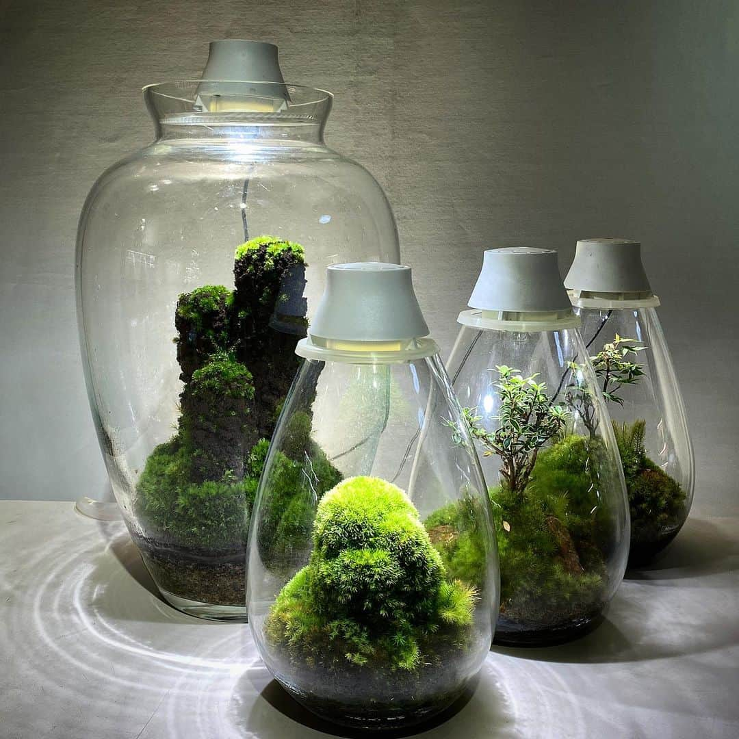 Mosslight-LEDさんのインスタグラム写真 - (Mosslight-LEDInstagram)「Mosslight  #mosslight #モスライト  #terrarim#テラリウム #moss#苔#コケ#paludariums #パルダリウム #terrariums#terariums #terariumdesign」10月10日 17時10分 - mosslight1955